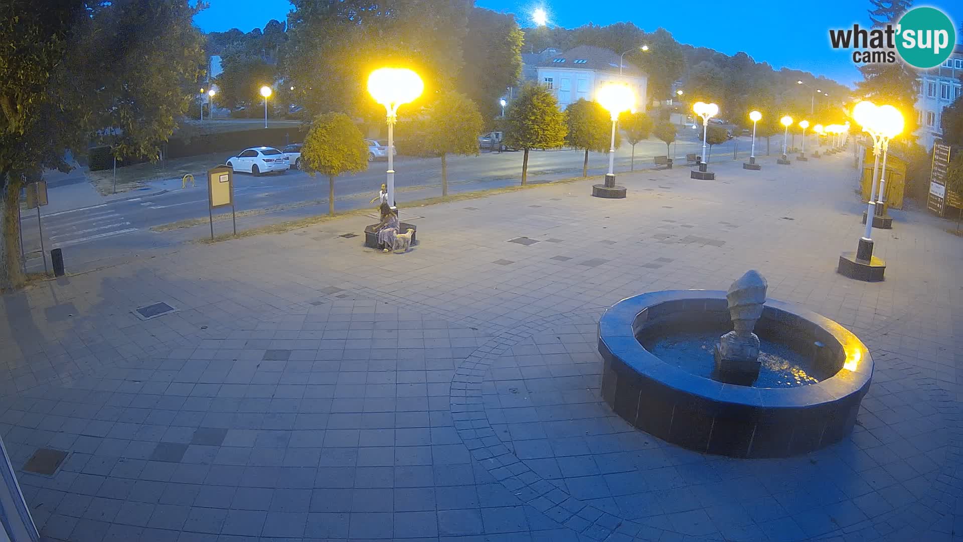 Webcam live Grad Novska