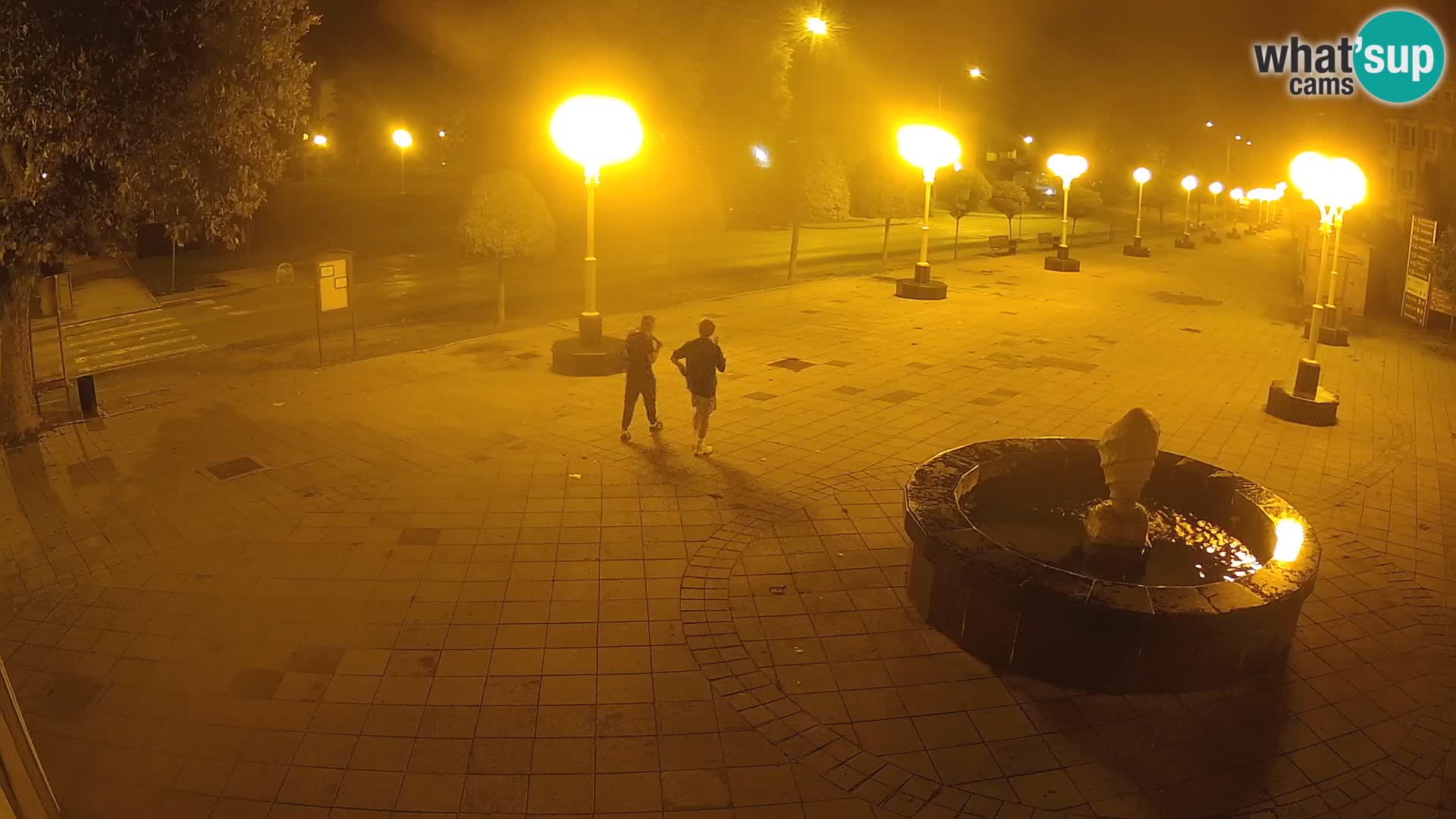 Live webcam Grad Novska
