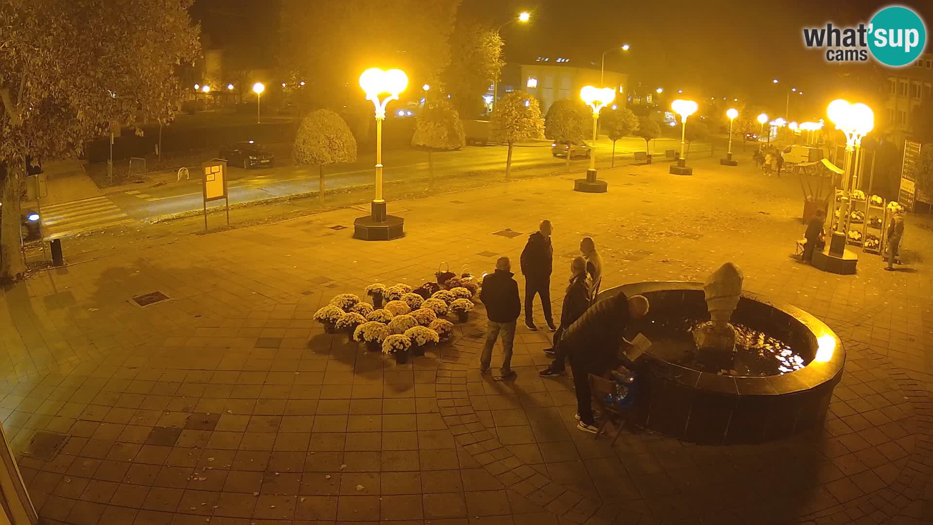 LIVE Webcam Grad Novska