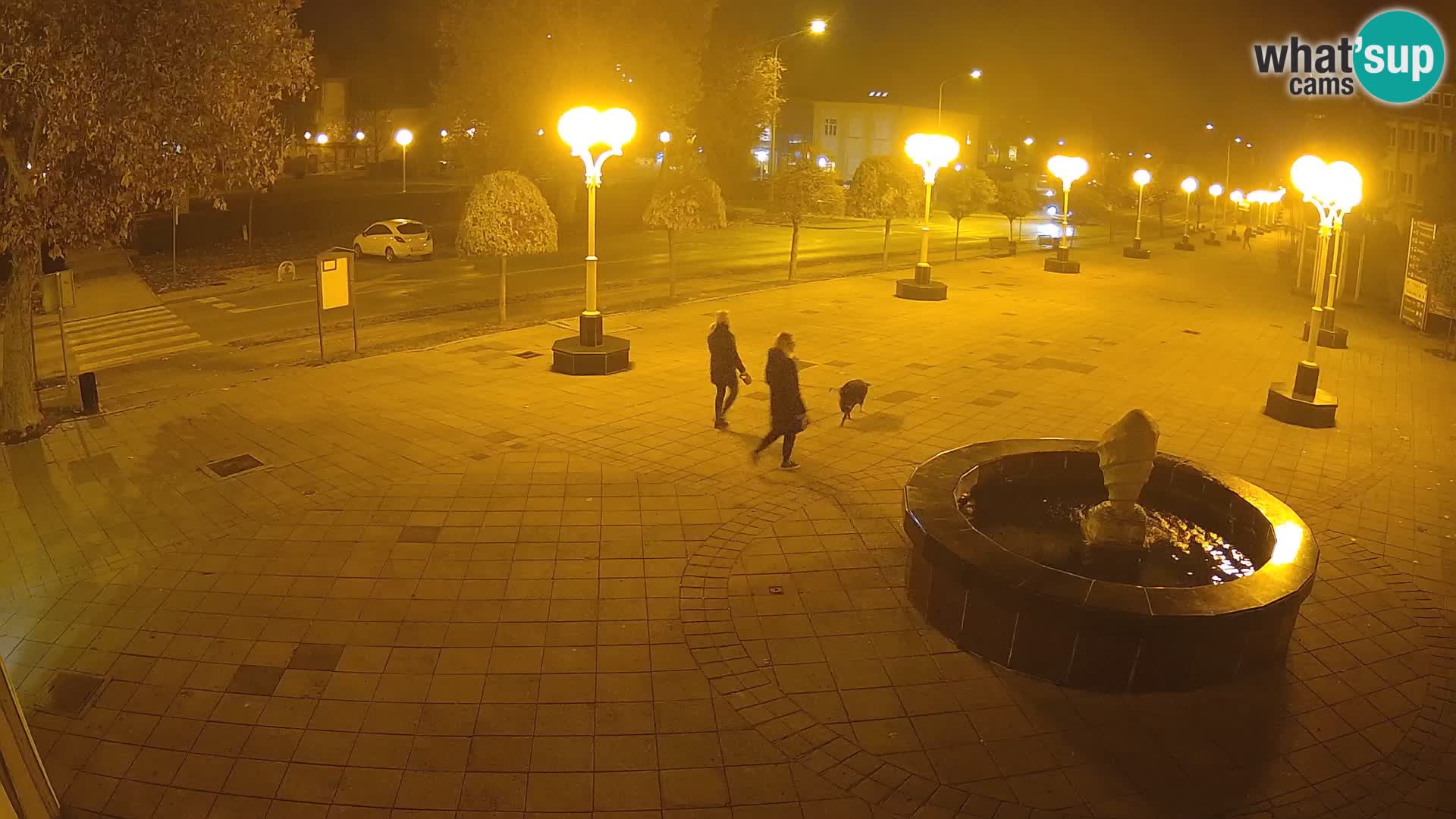 Live webcam Grad Novska