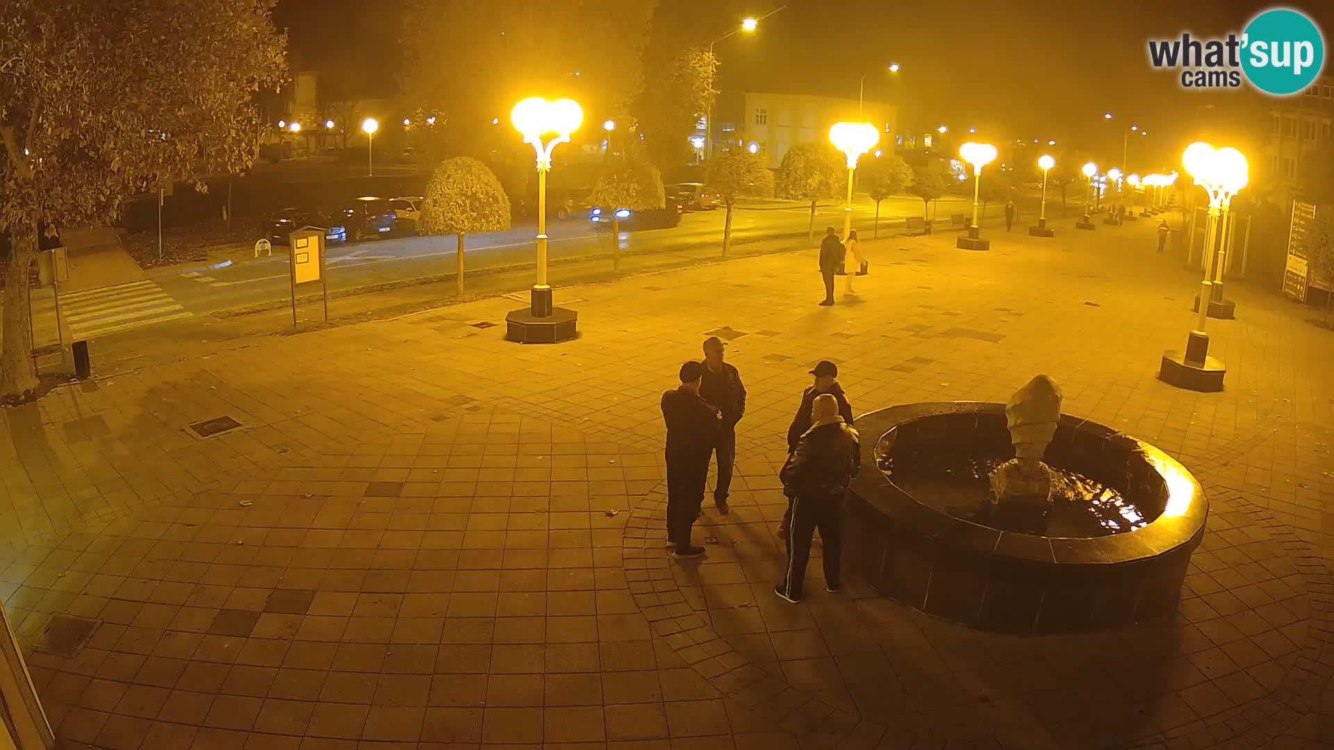 LIVE Webcam Grad Novska