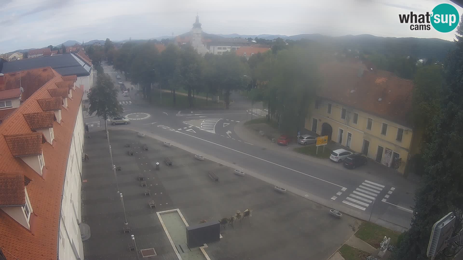 Camero en vivo Ogulin center