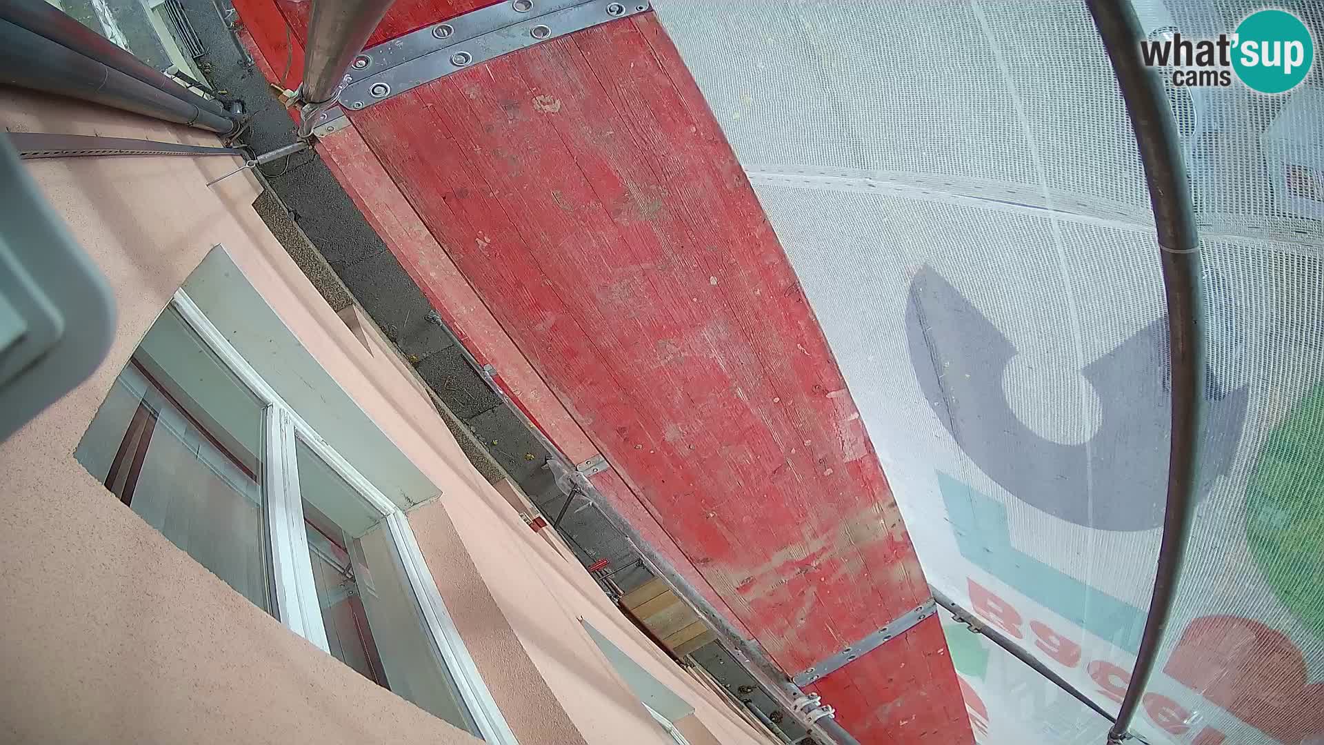 Ogulin camera en vivo