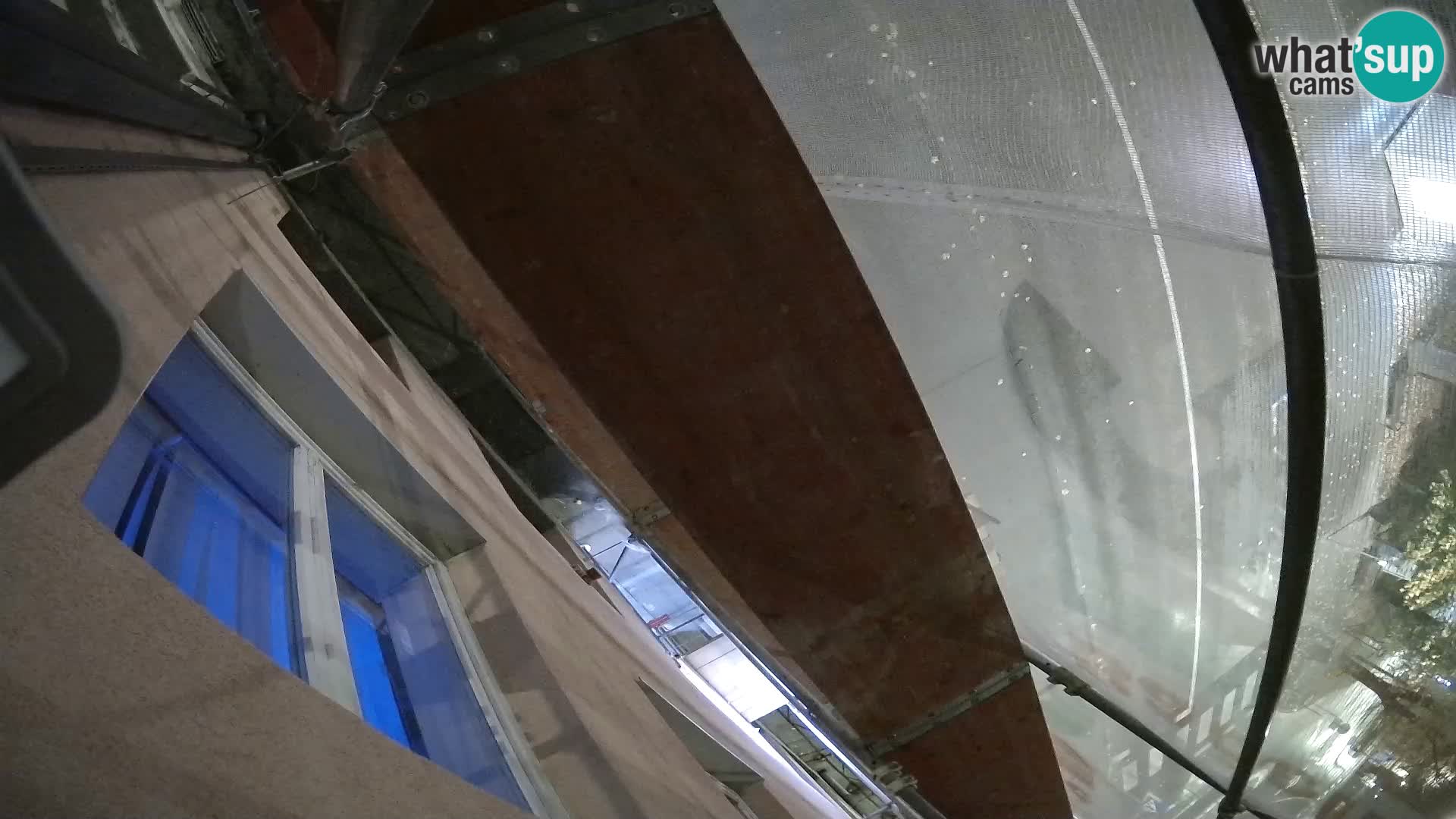 Ogulin camera en vivo