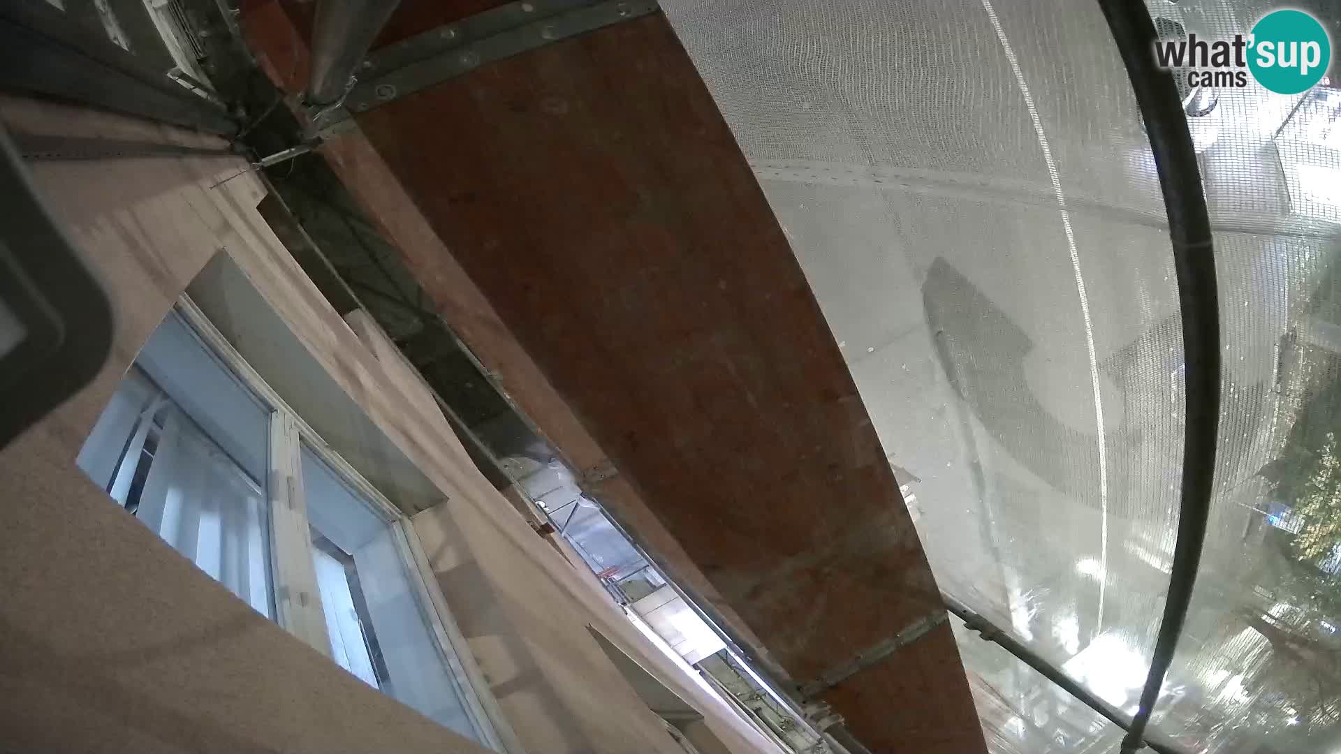 Ogulin camera en vivo