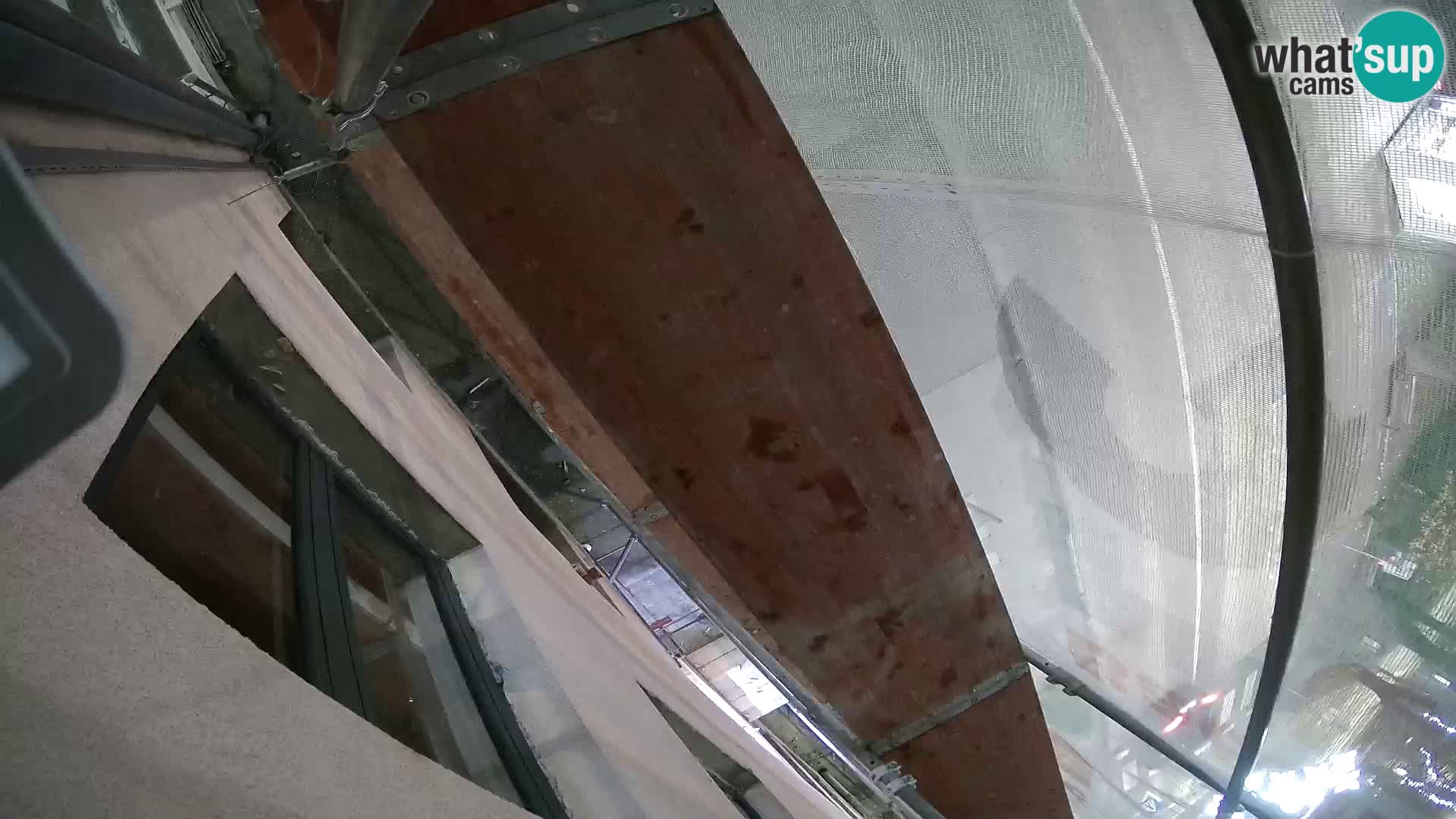 Ogulin camera en vivo