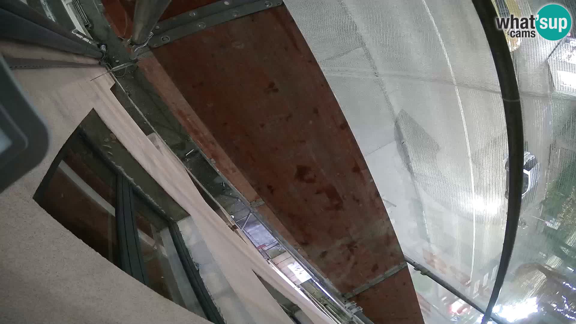 Ogulin camera en vivo