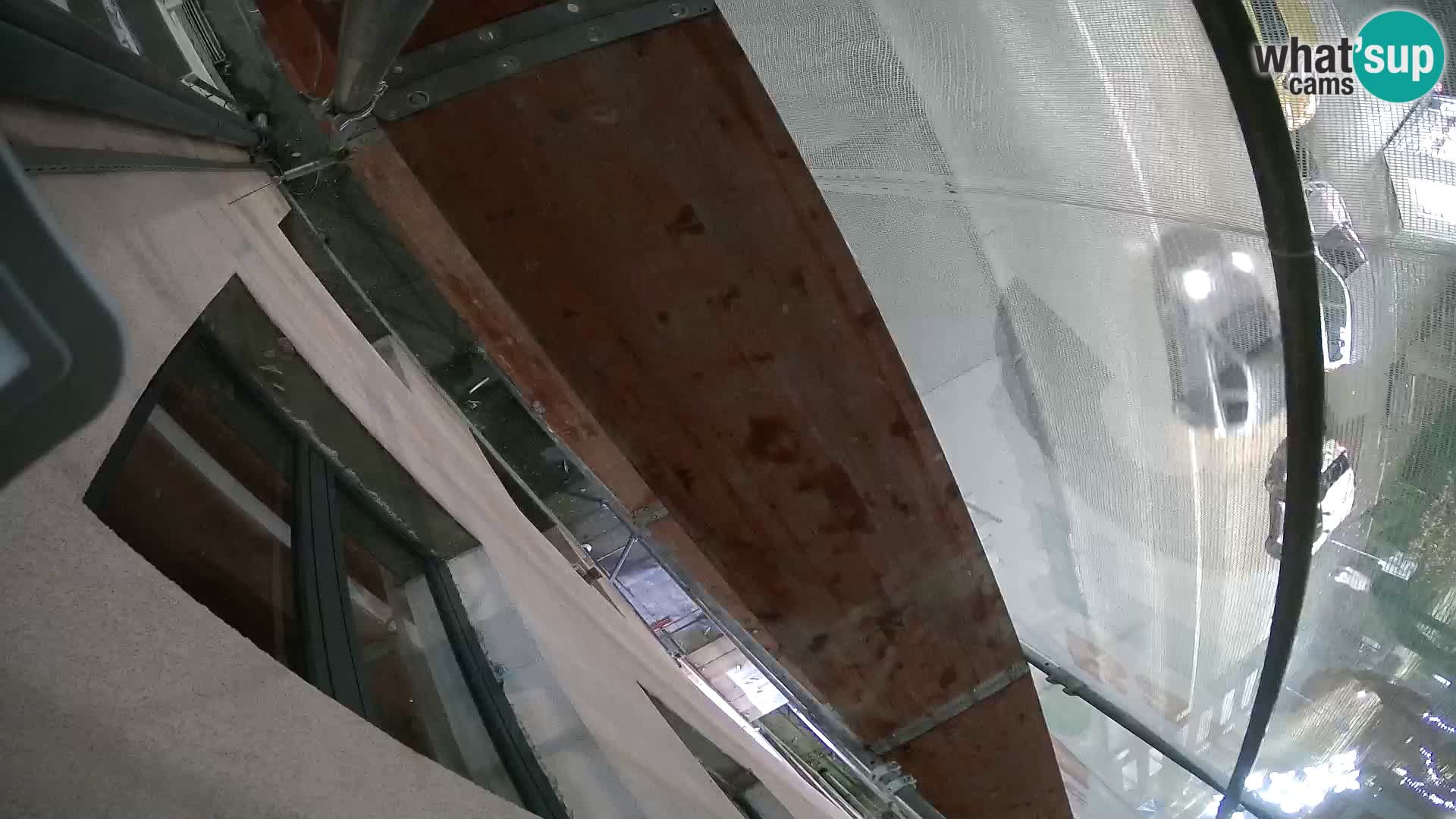 Ogulin camera en vivo