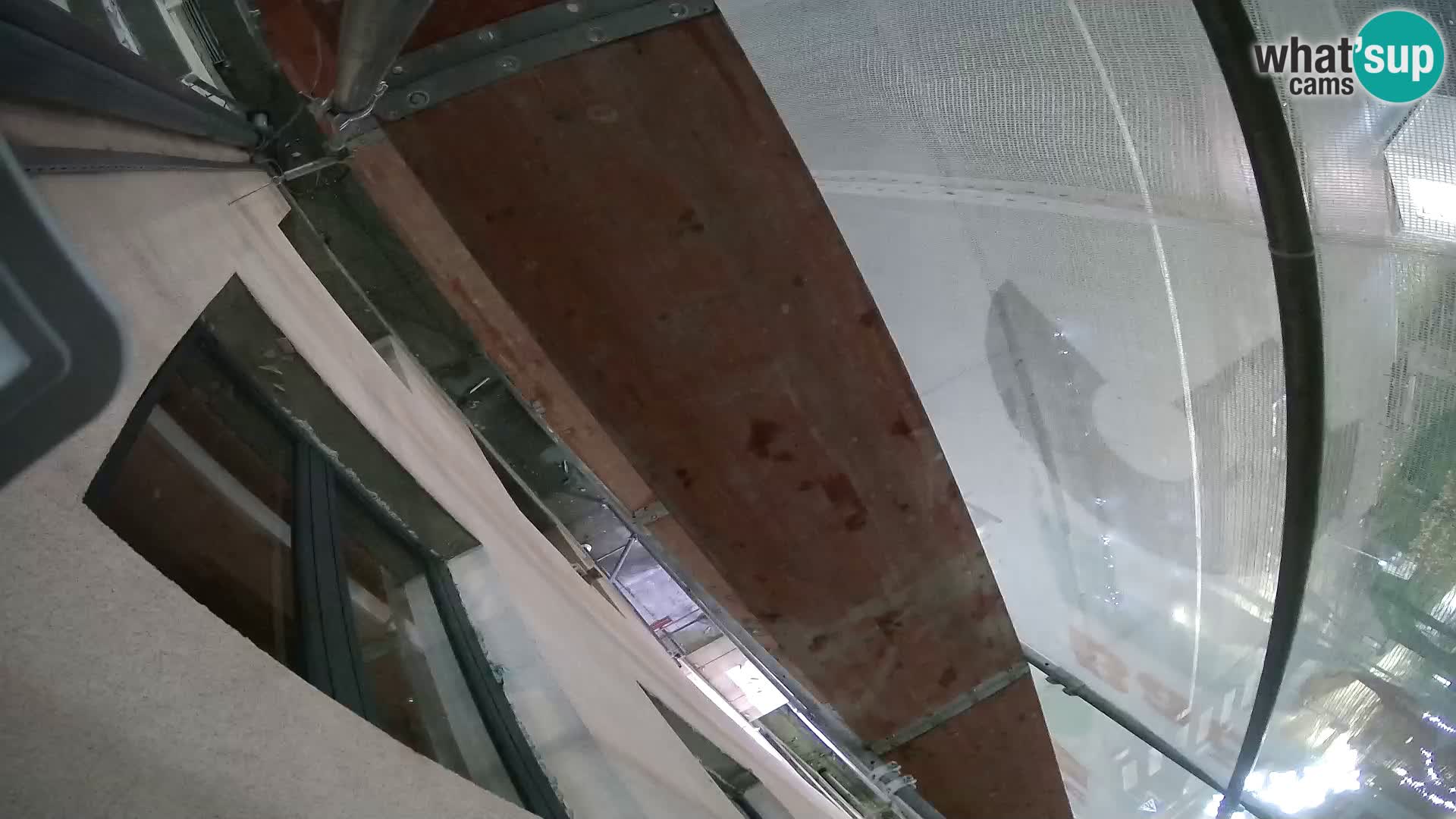 Ogulin camera en vivo