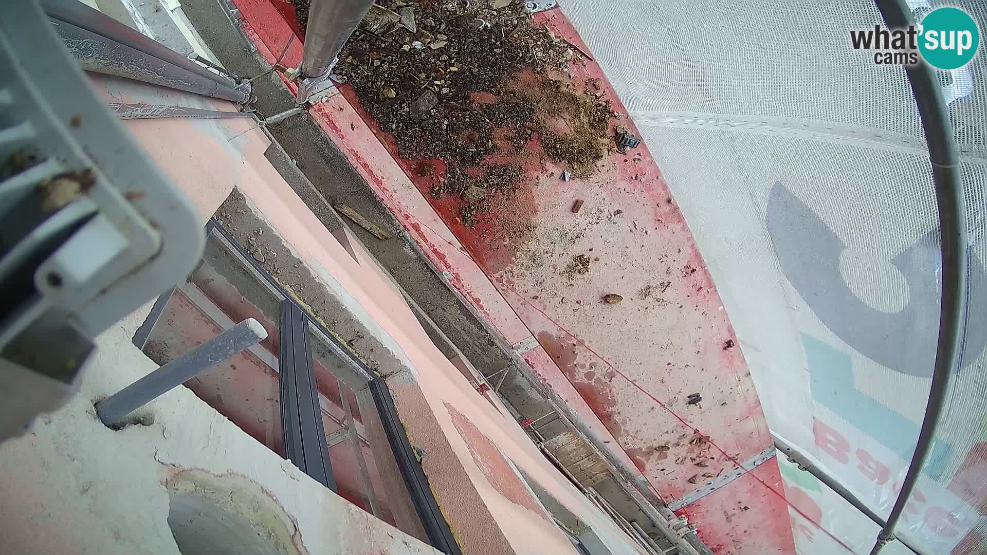 Ogulin camera en vivo