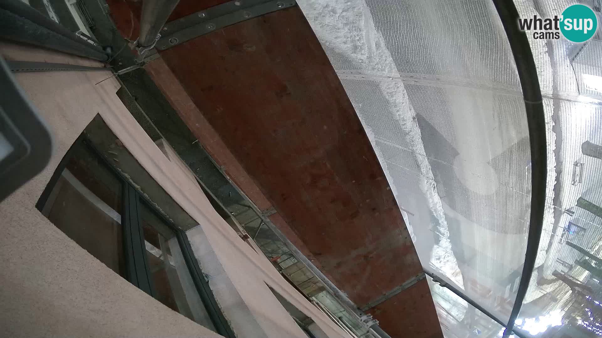 Ogulin camera en vivo