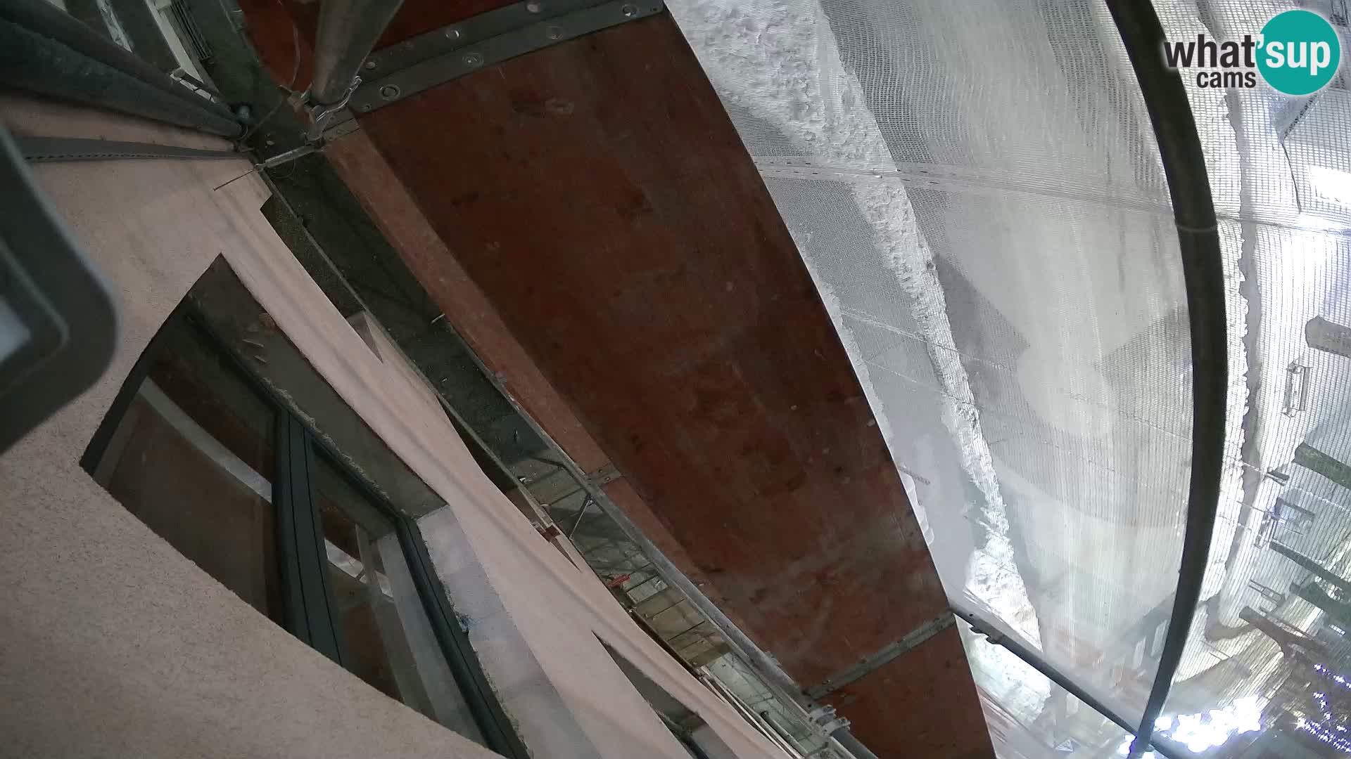 Ogulin camera en vivo