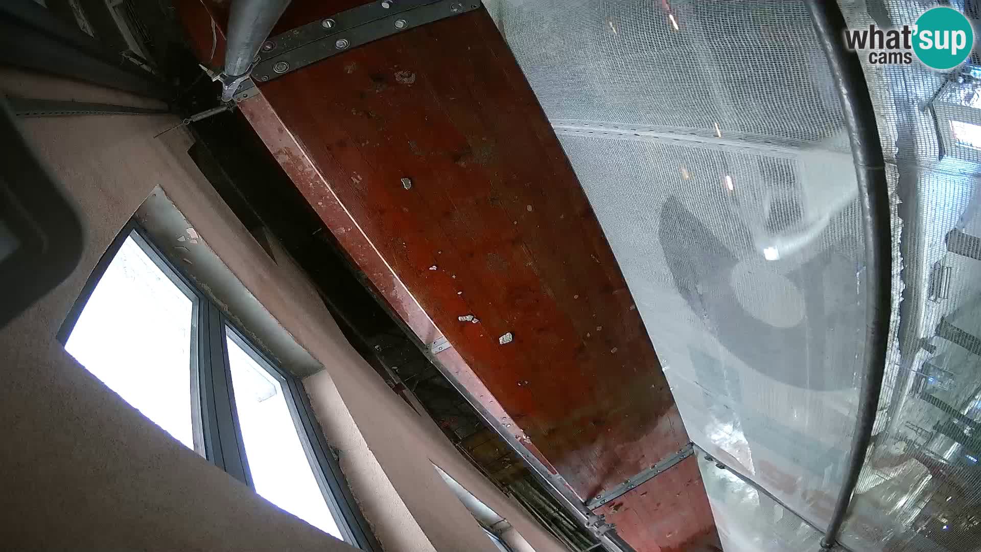 Ogulin camera en vivo