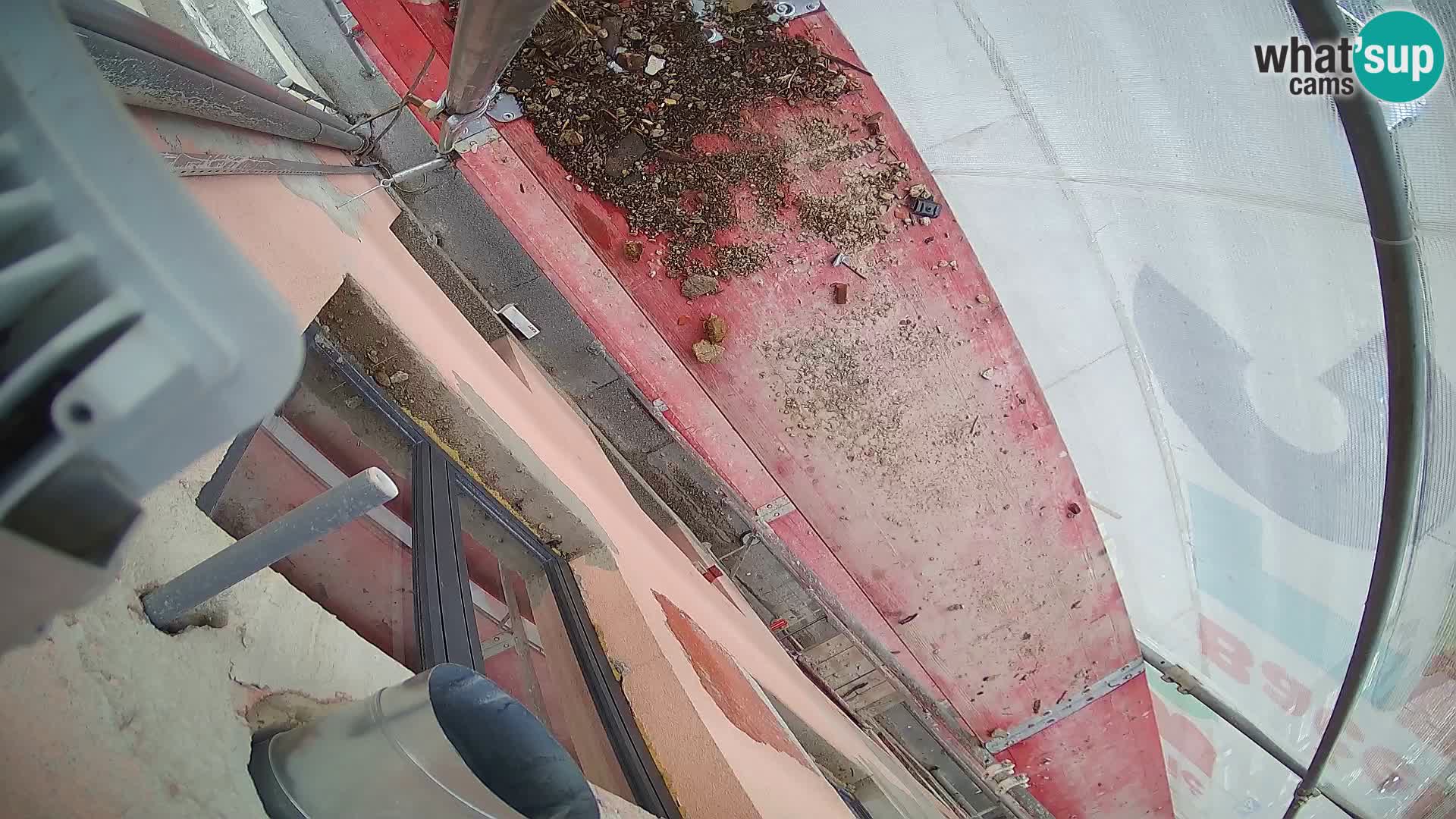 Ogulin camera en vivo