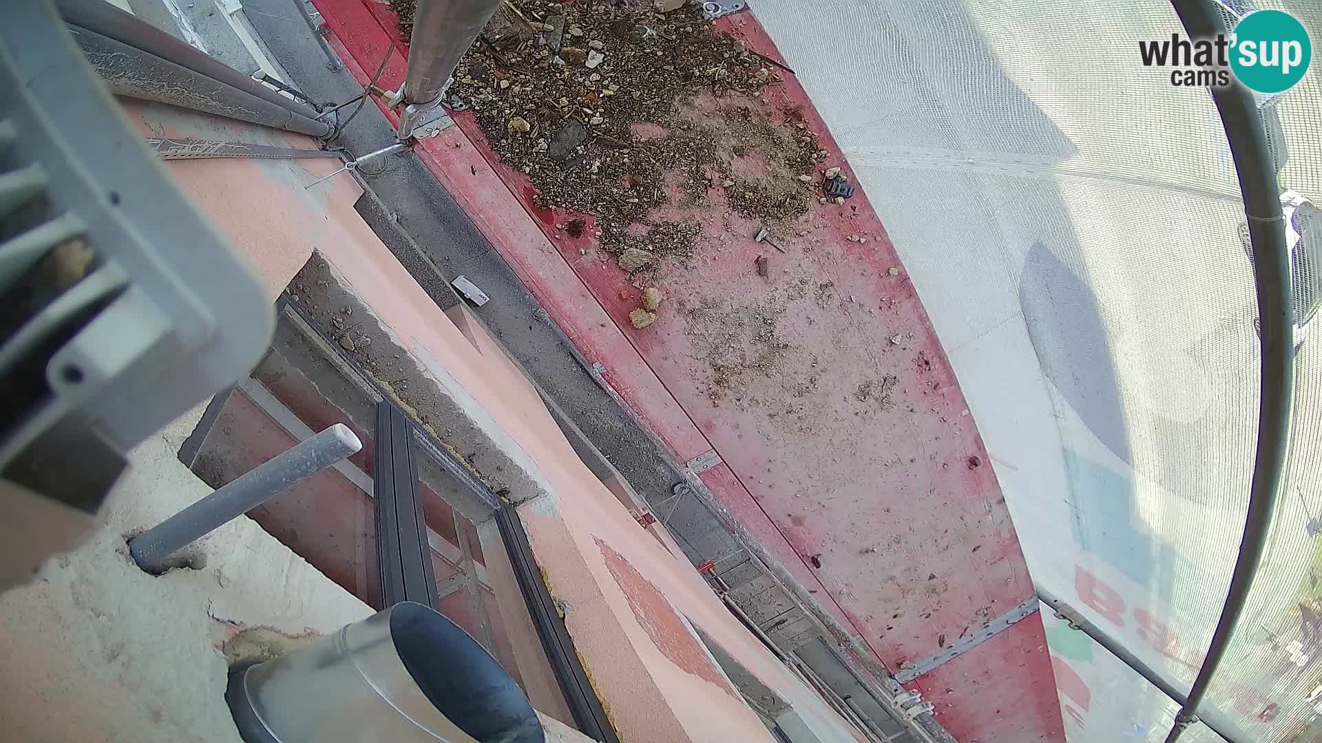 Ogulin camera en vivo