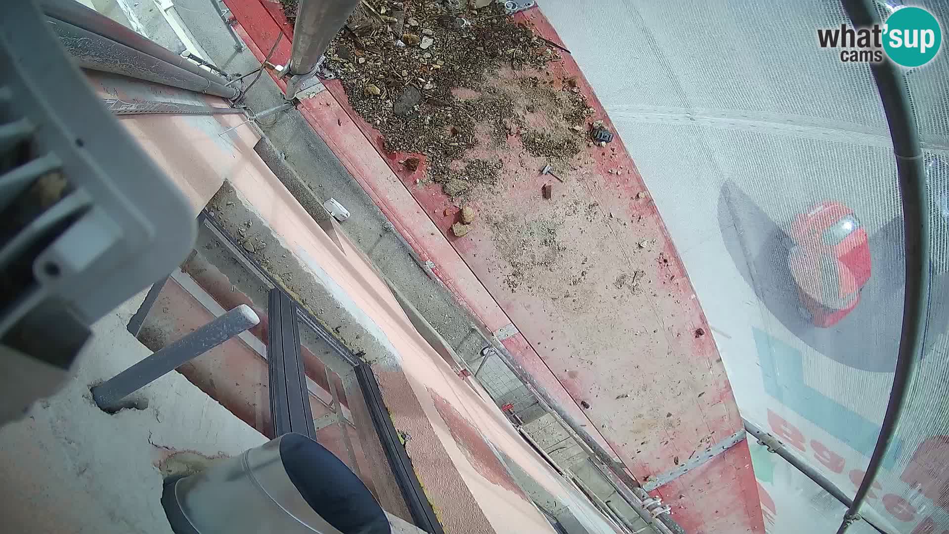 Ogulin camera en vivo