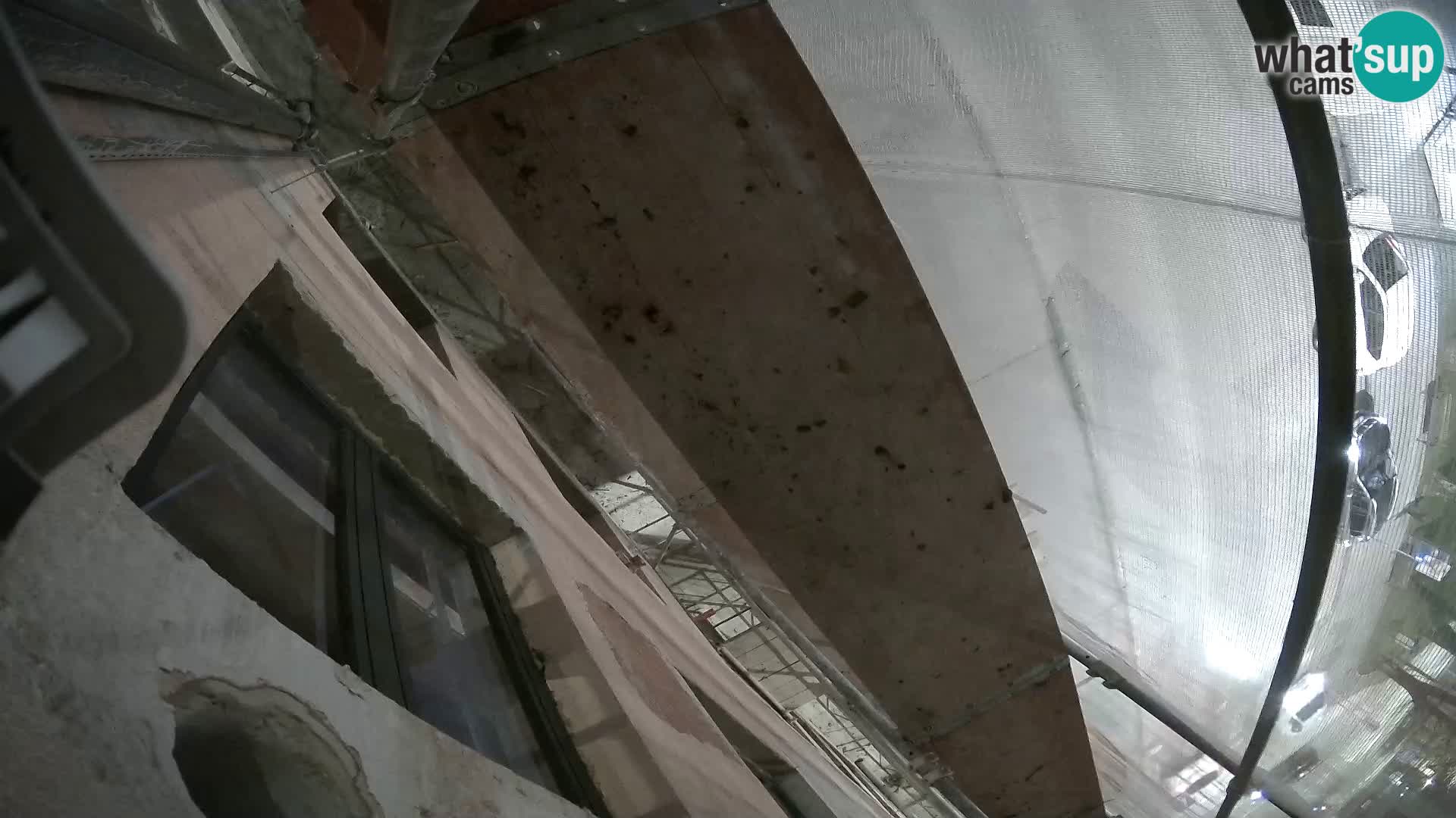 Ogulin camera en vivo