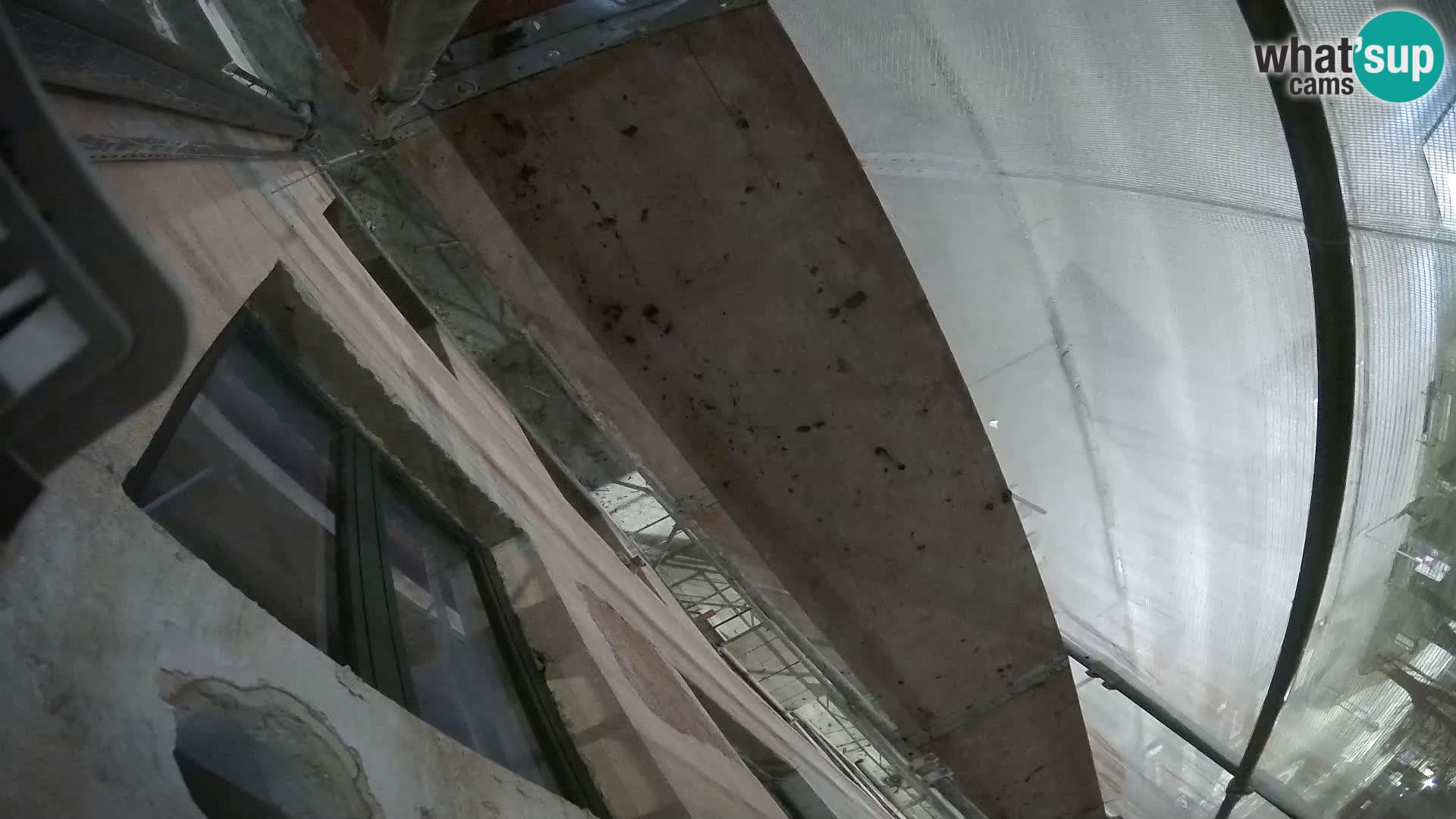 Ogulin camera en vivo