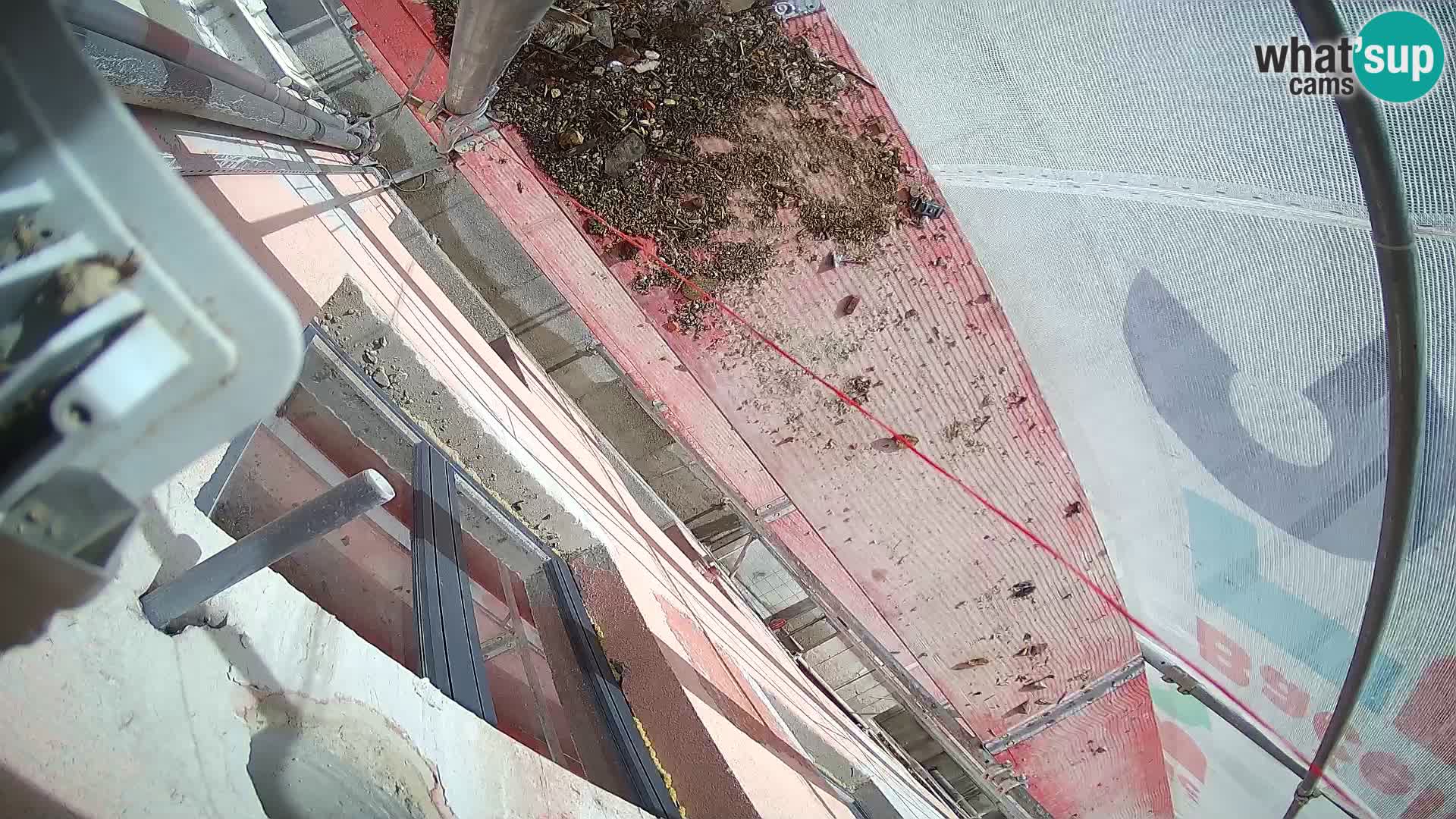 Ogulin camera en vivo