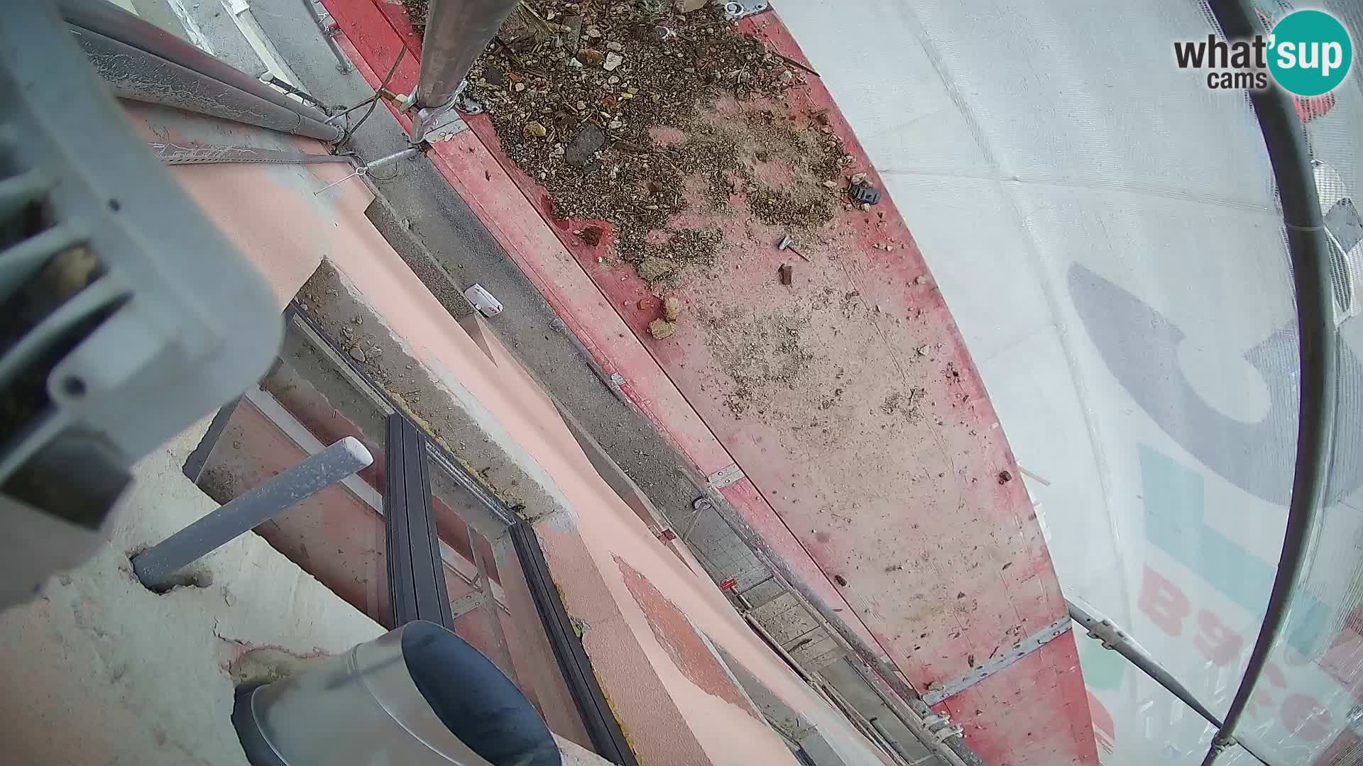 Ogulin camera en vivo