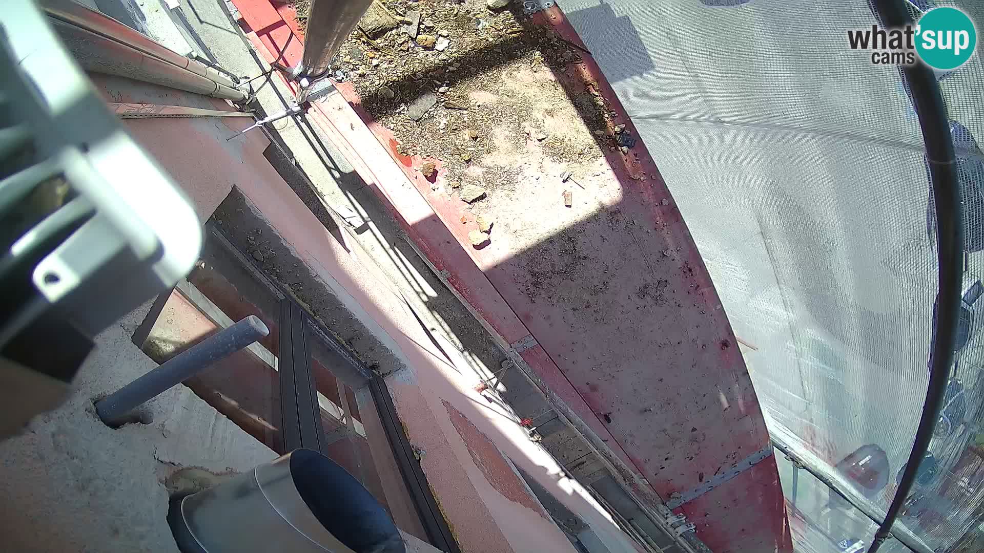 Ogulin camera en vivo