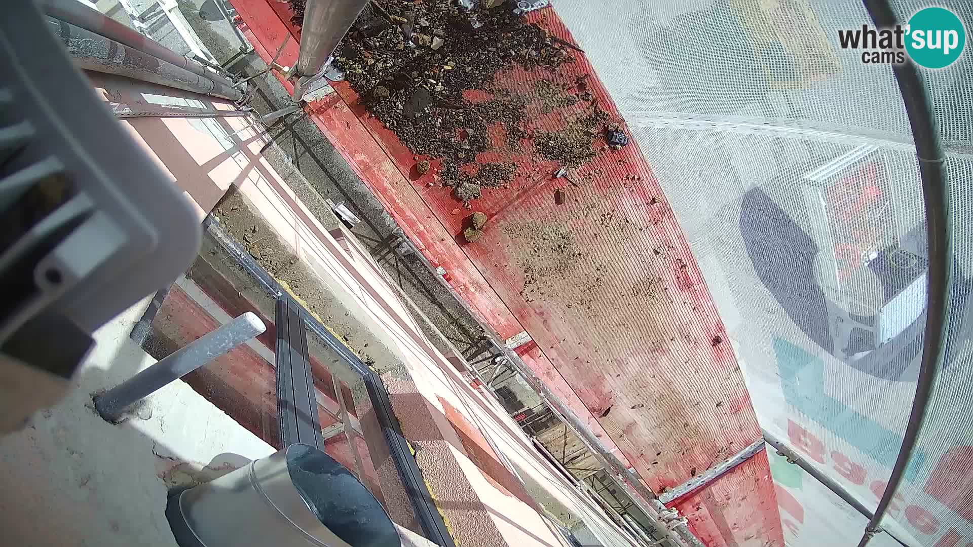 Ogulin camera en vivo