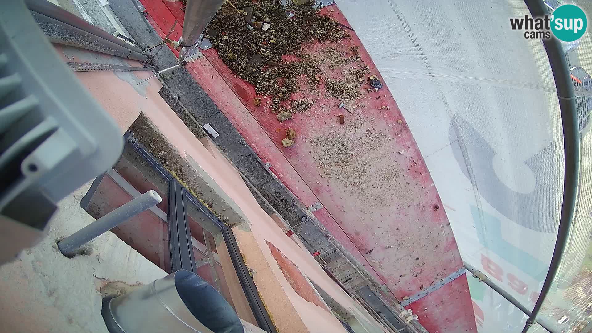 Ogulin camera en vivo