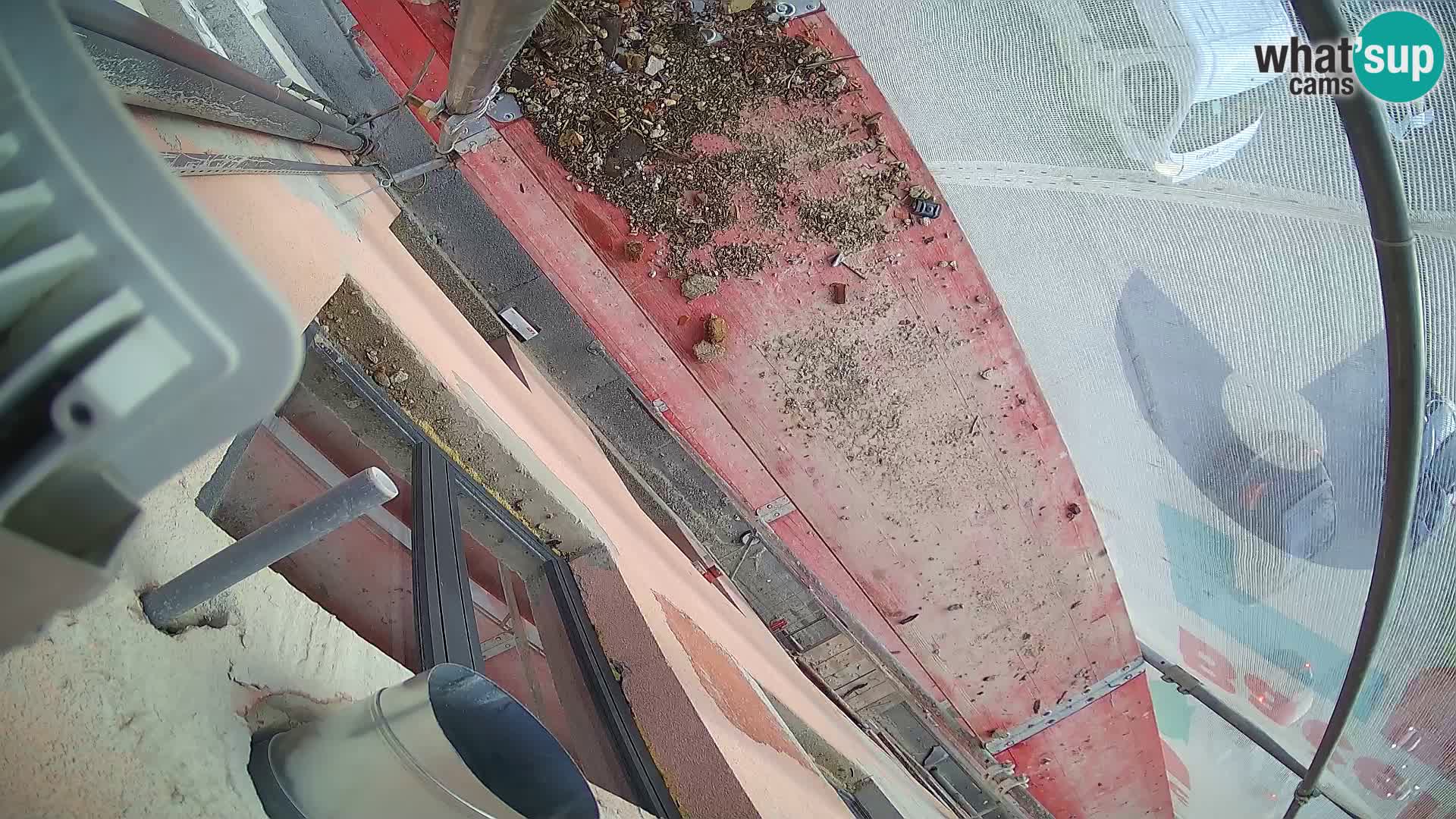 Ogulin camera en vivo