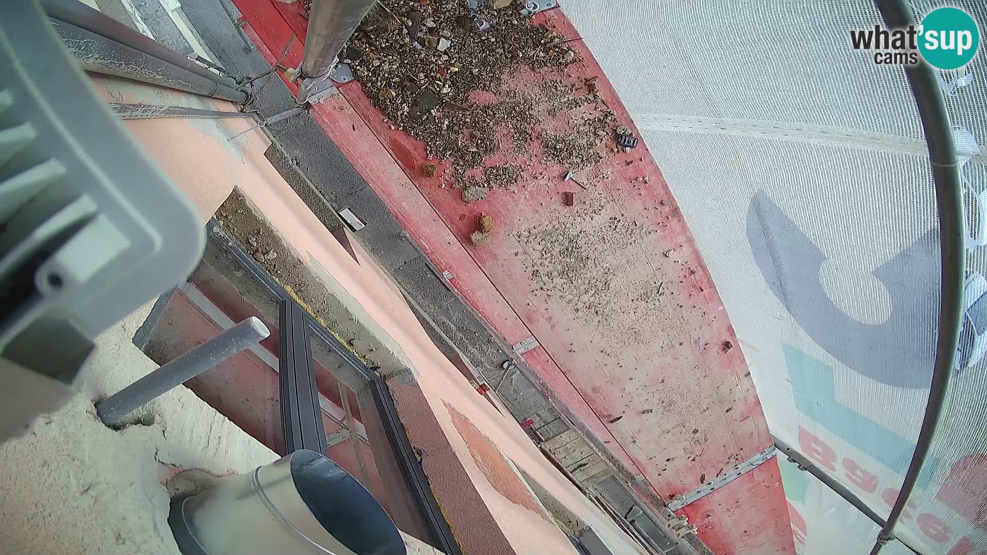 Ogulin camera en vivo