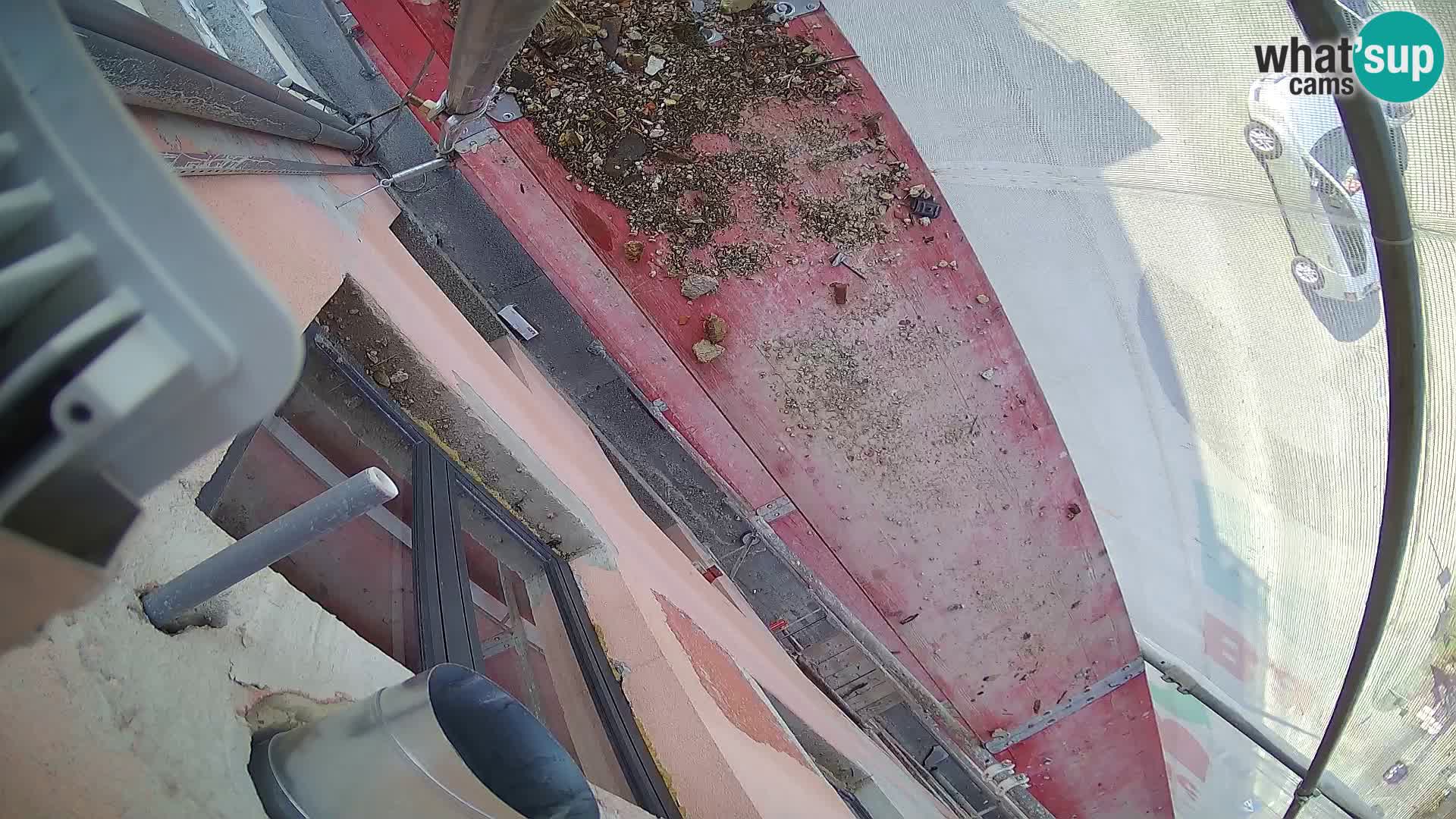 Ogulin camera en vivo