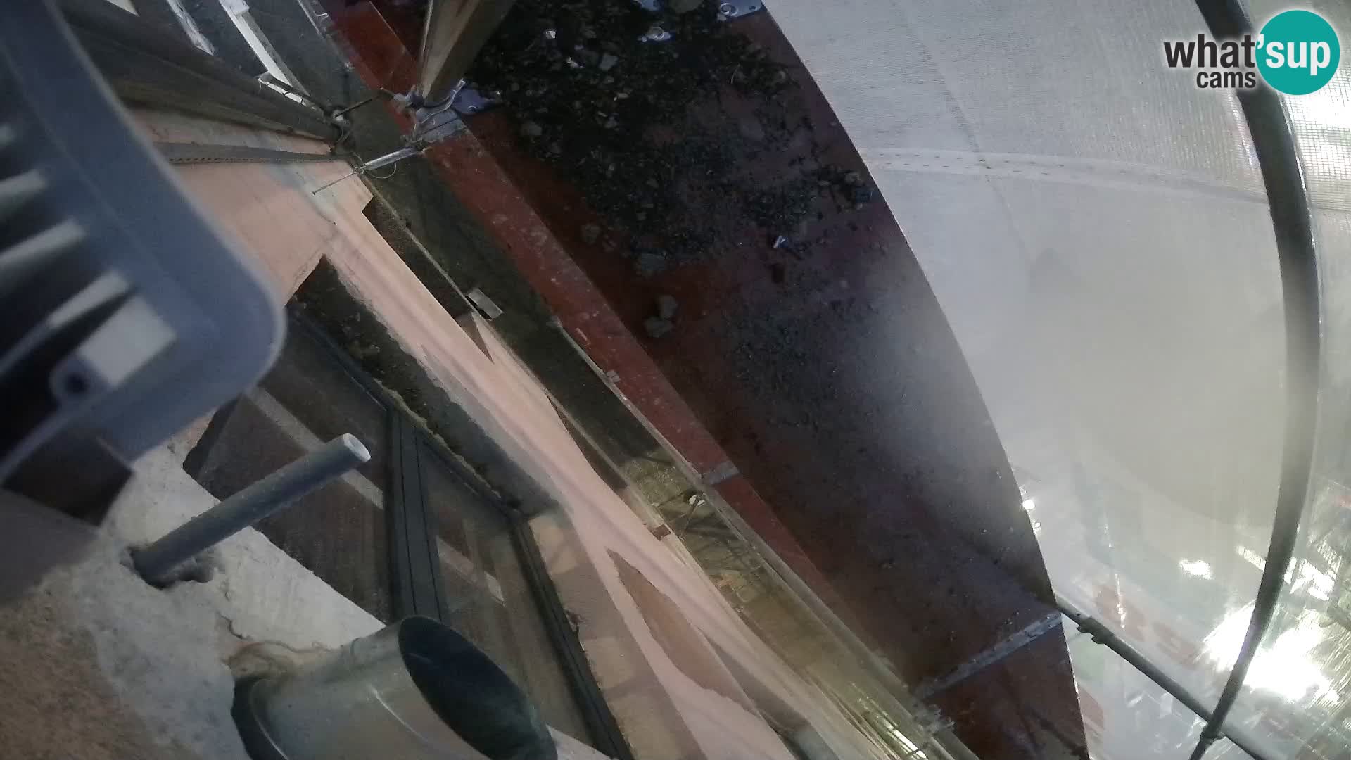 Ogulin camera en vivo