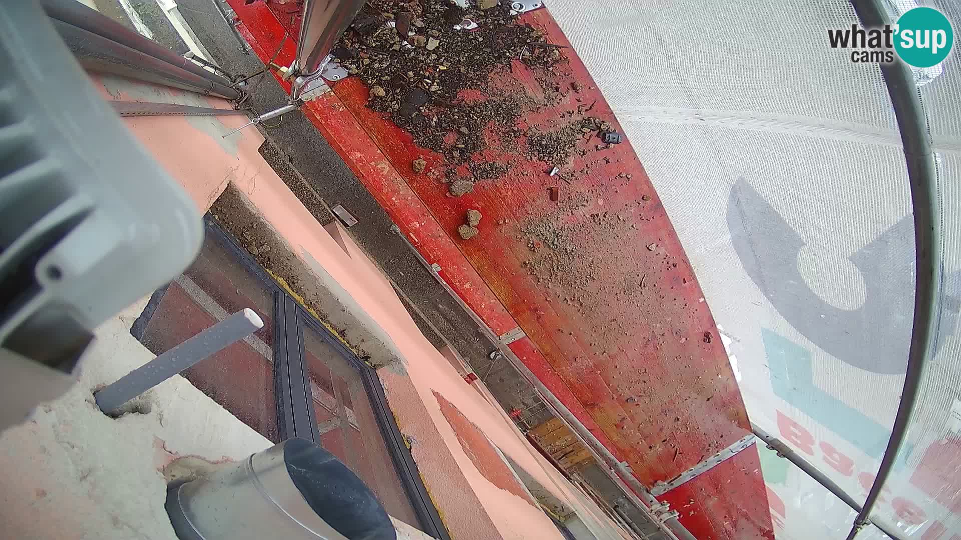 Ogulin camera en vivo