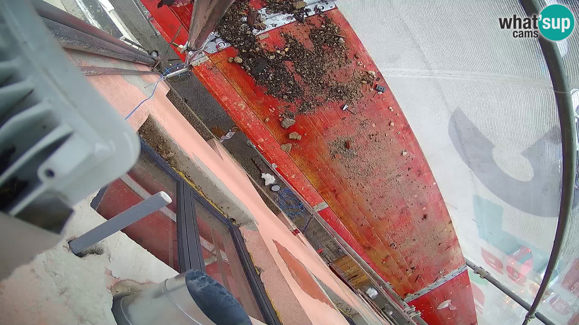 Ogulin camera en vivo