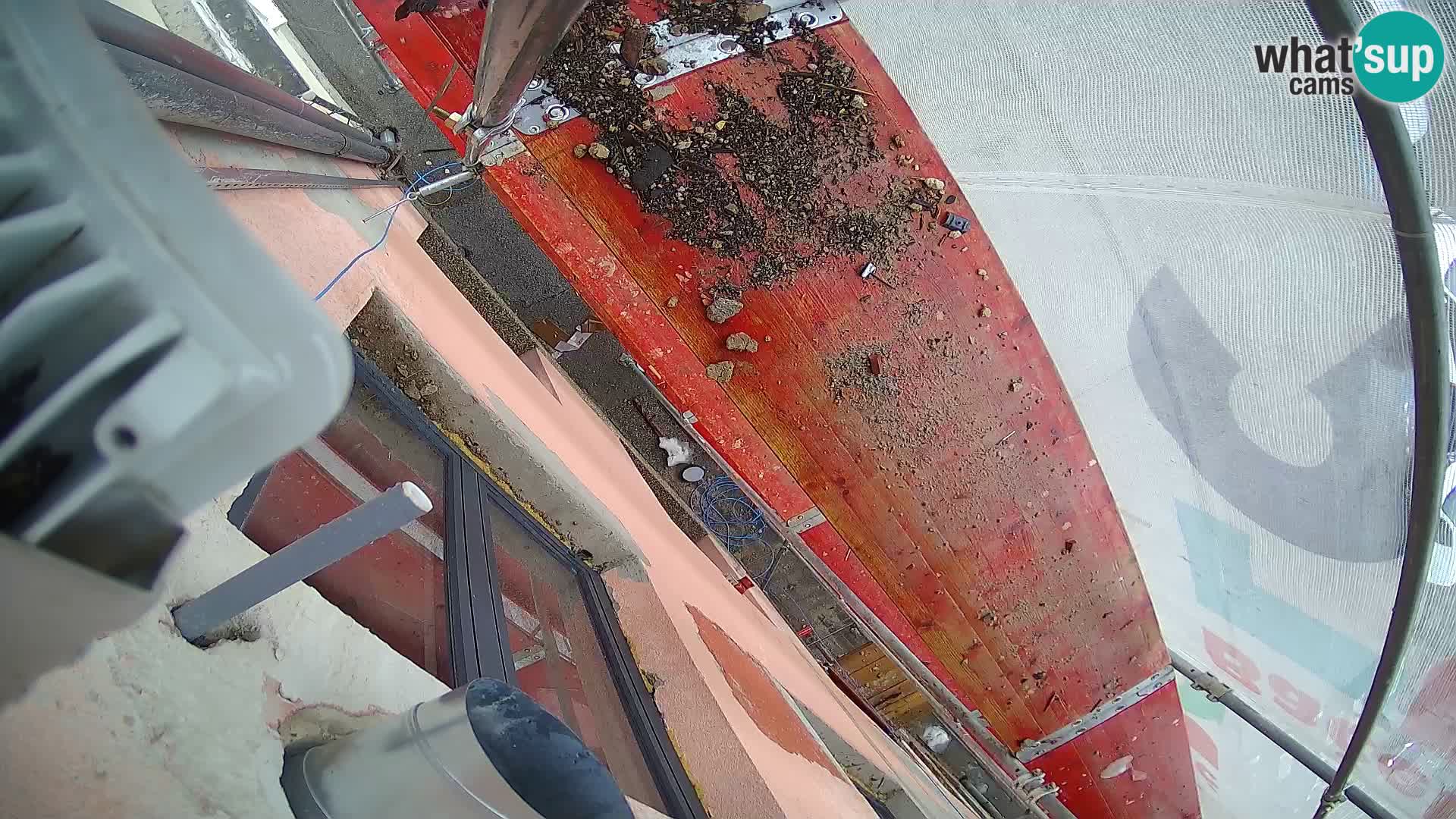 Ogulin camera en vivo