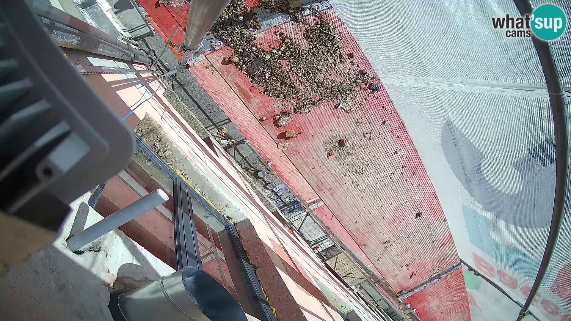 Ogulin camera en vivo