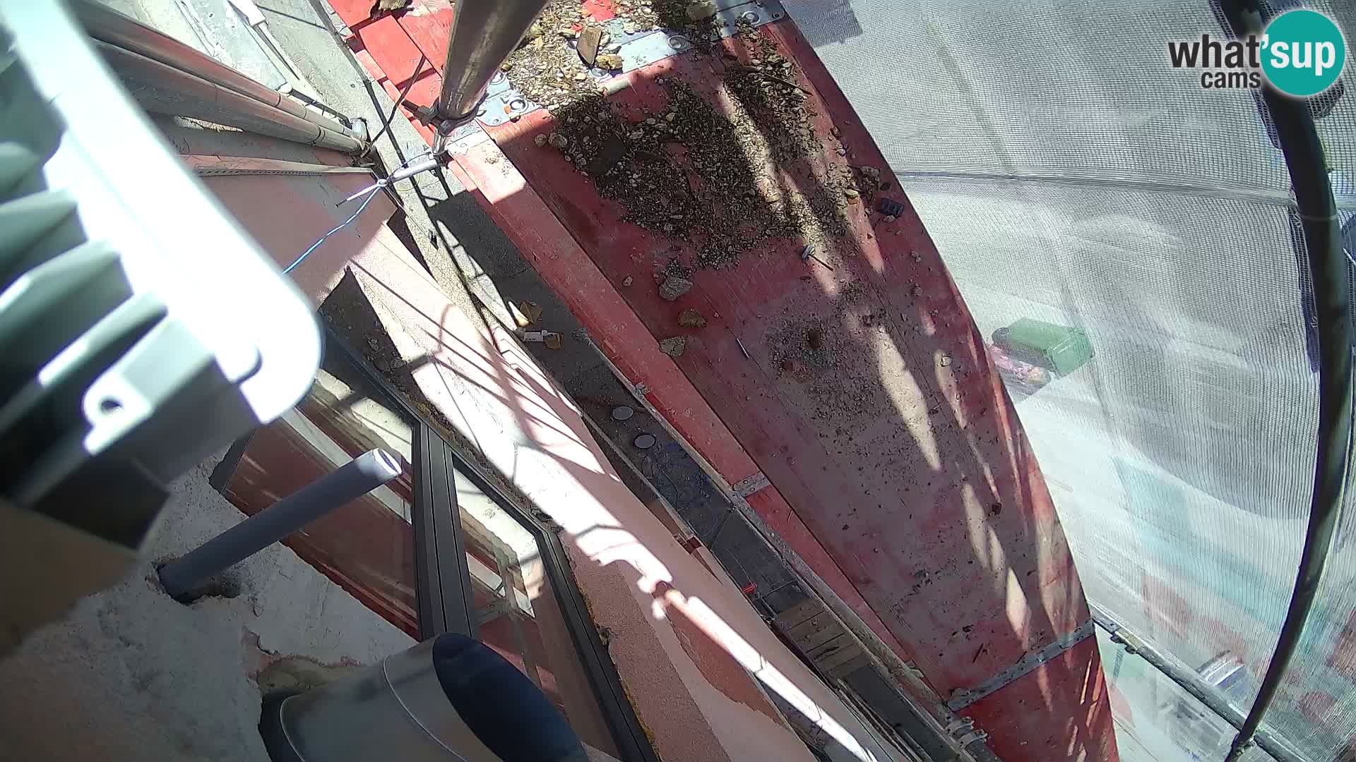 Ogulin camera en vivo