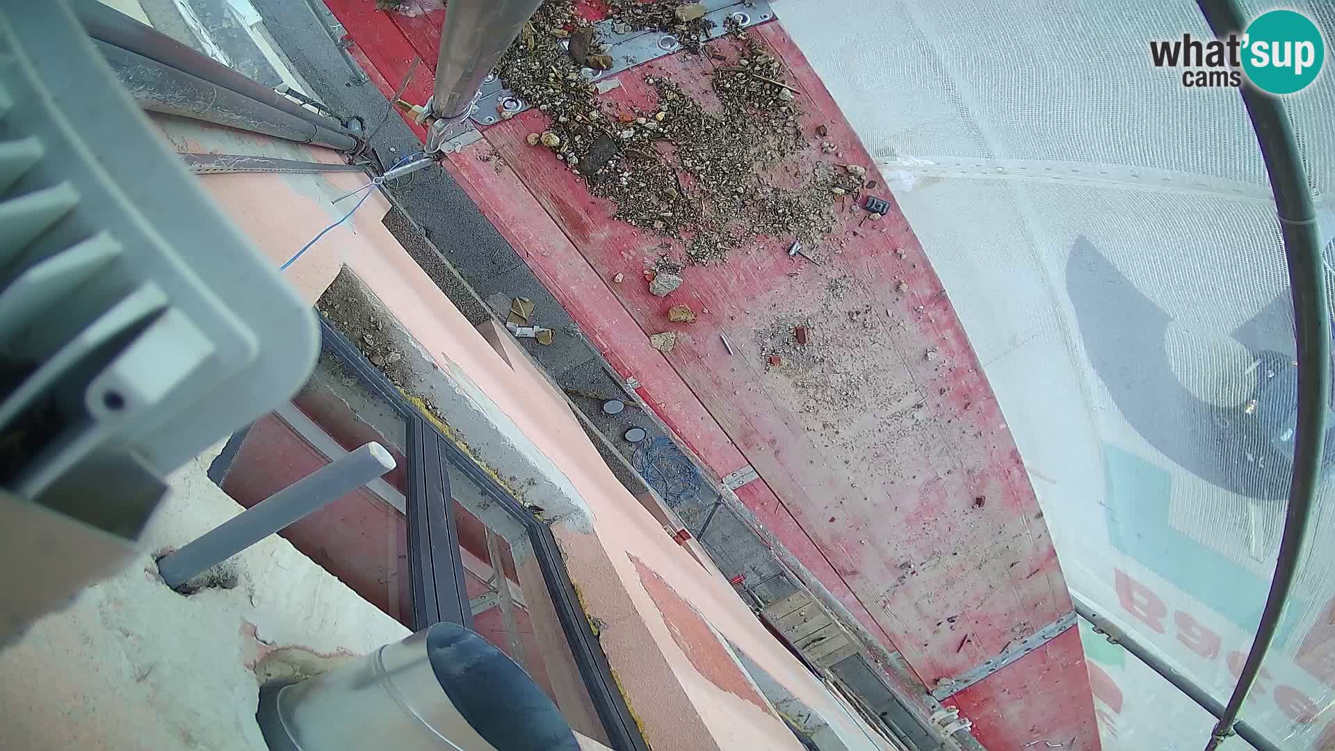 Ogulin camera en vivo