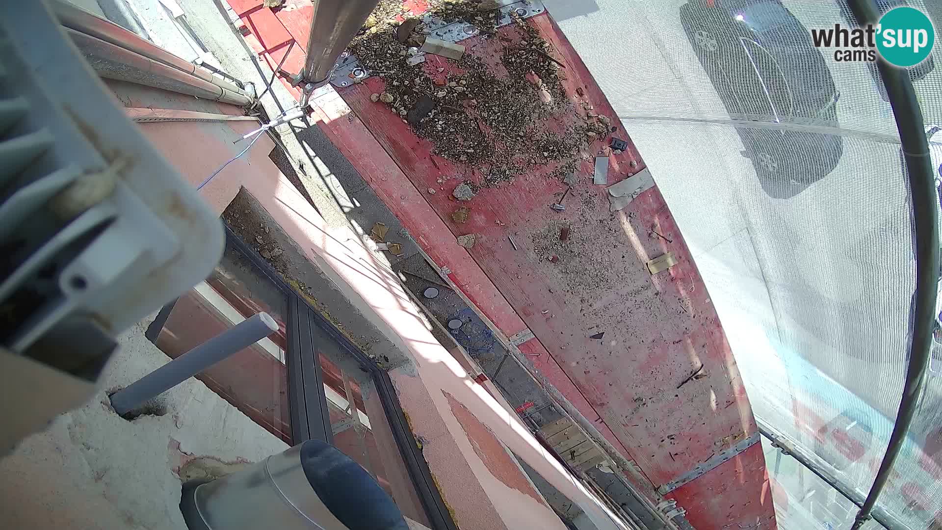 Ogulin camera en vivo