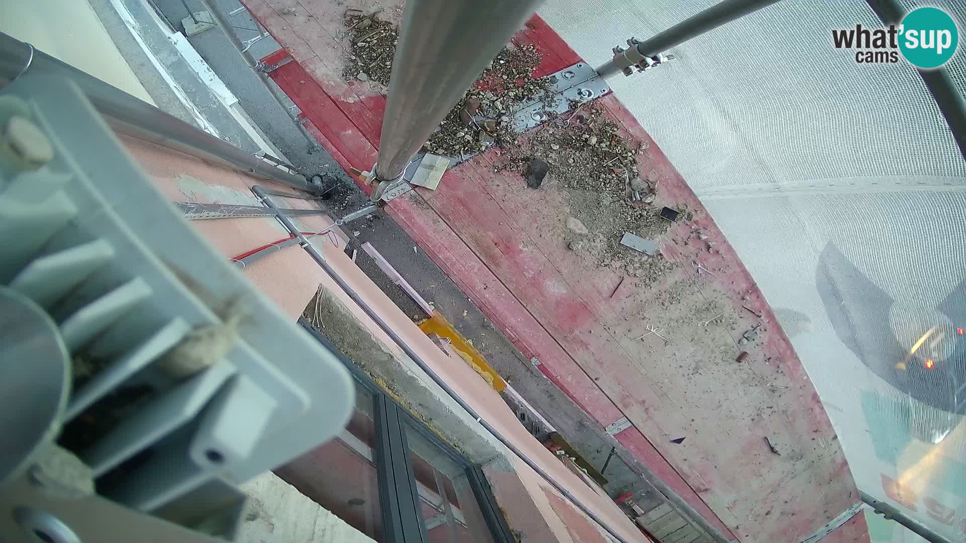 Ogulin Live cam