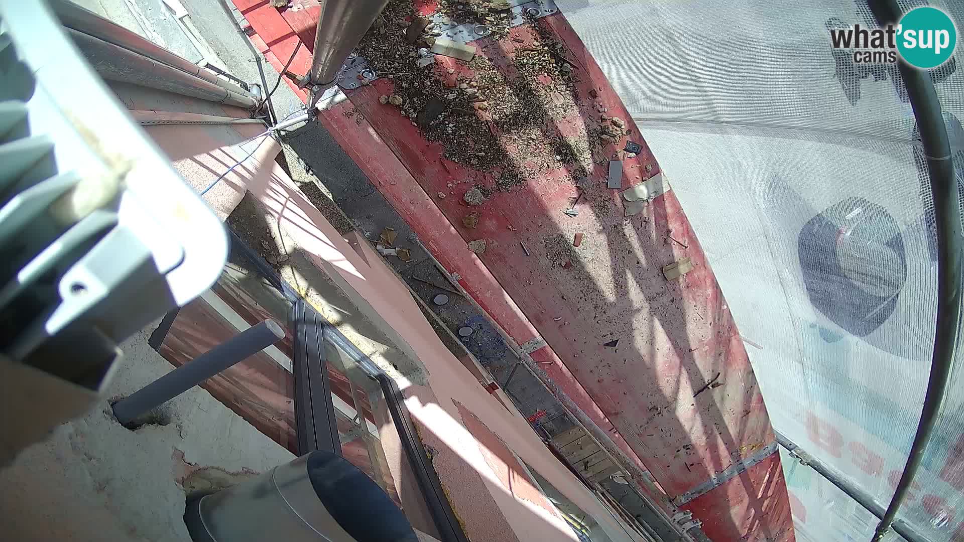 Ogulin camera en vivo