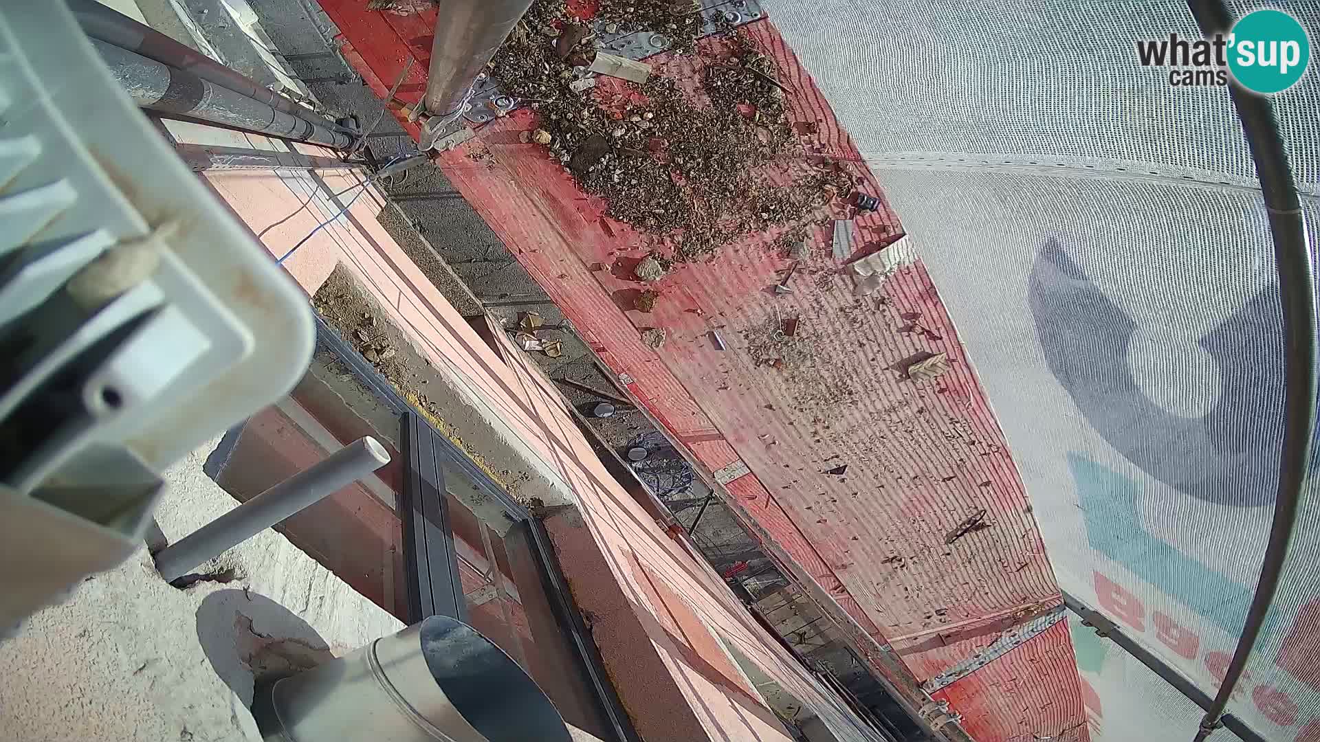 Ogulin camera en vivo