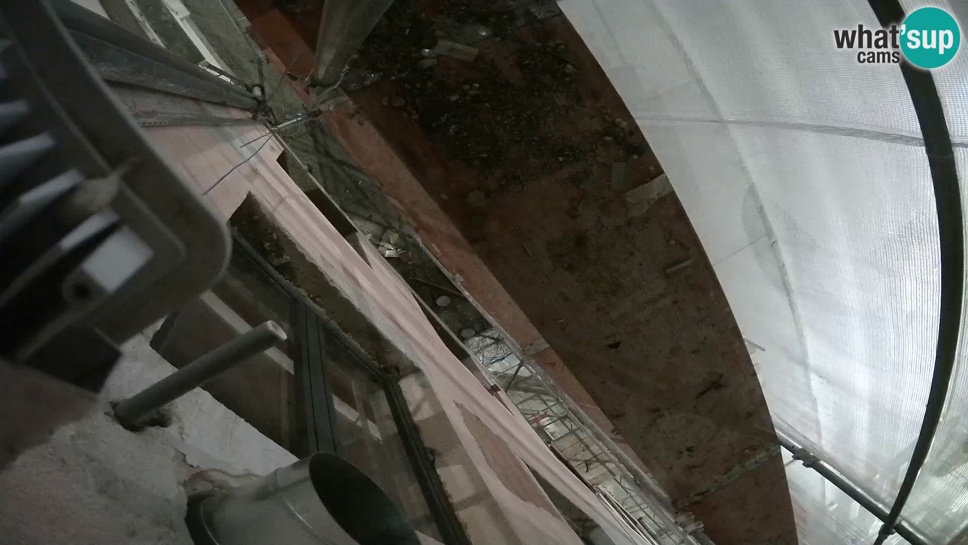 Ogulin camera en vivo