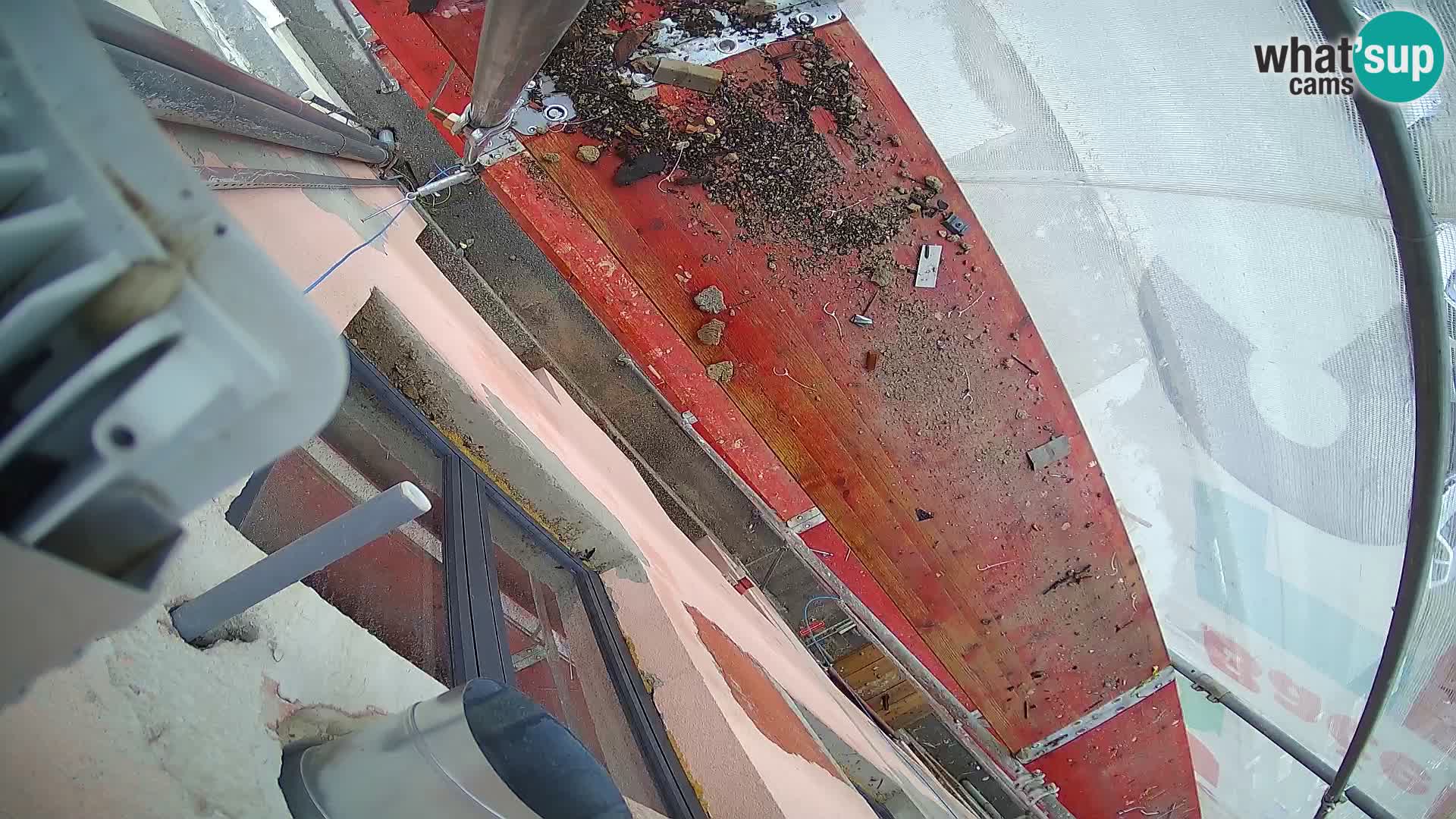 Ogulin camera en vivo