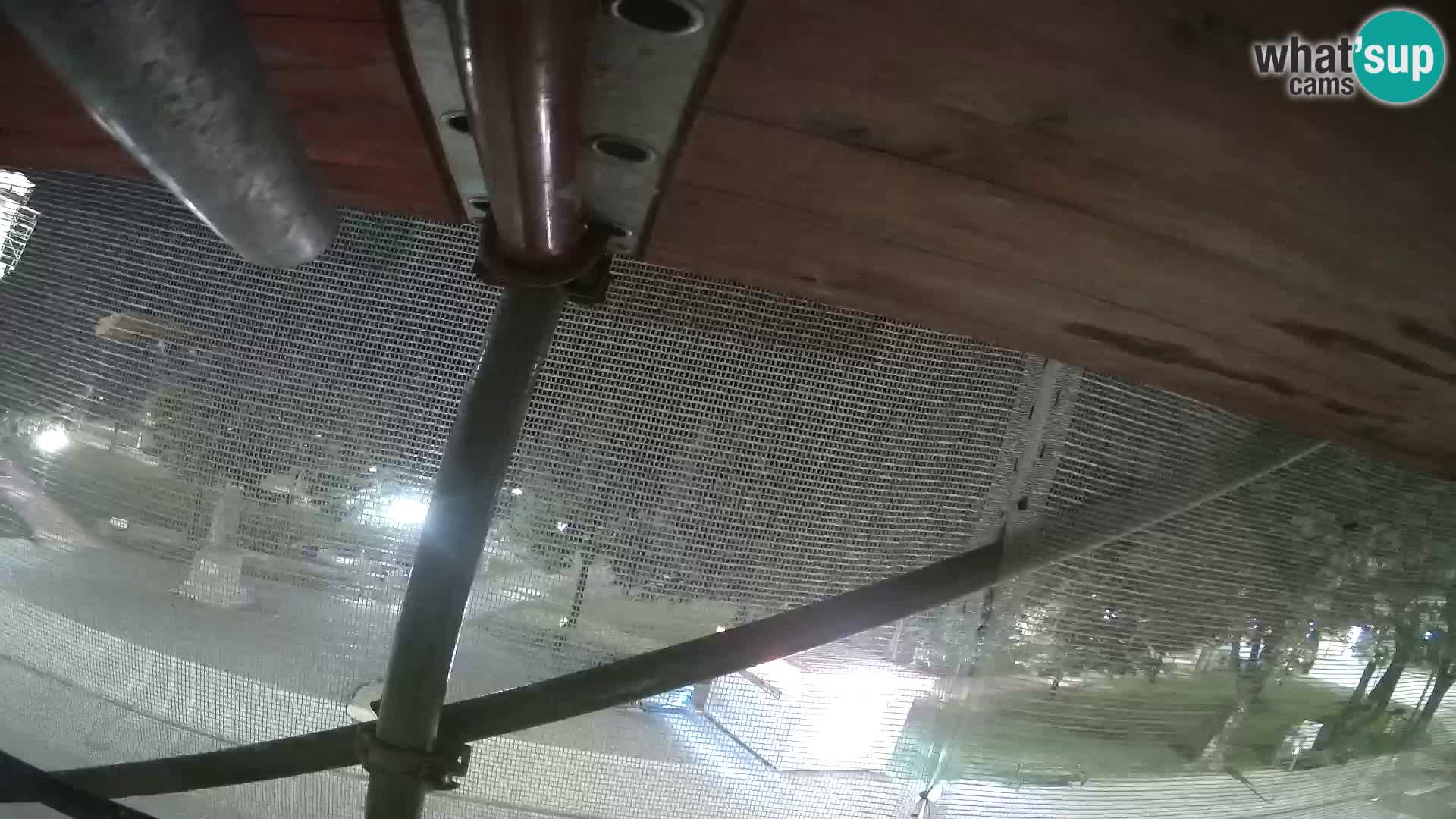 Ogulin Livecam