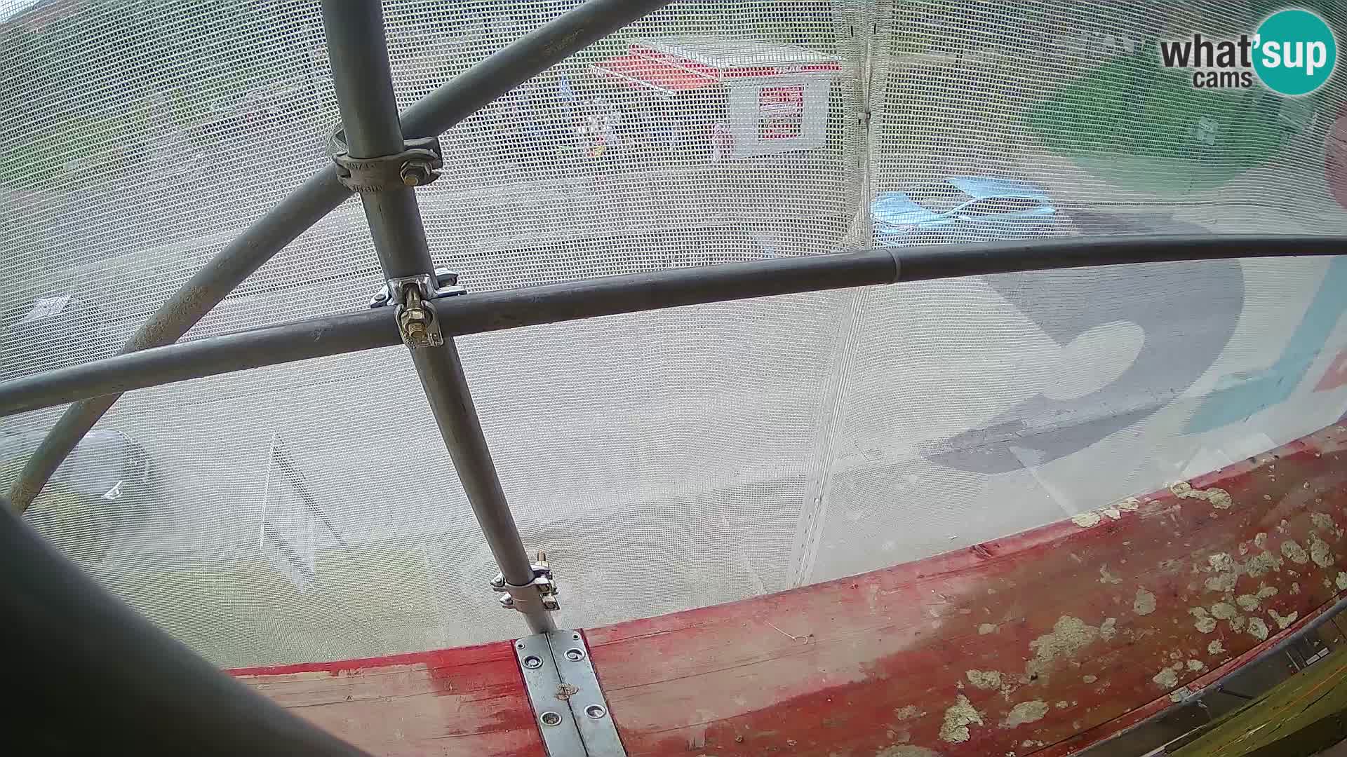 Ogulin camera en vivo