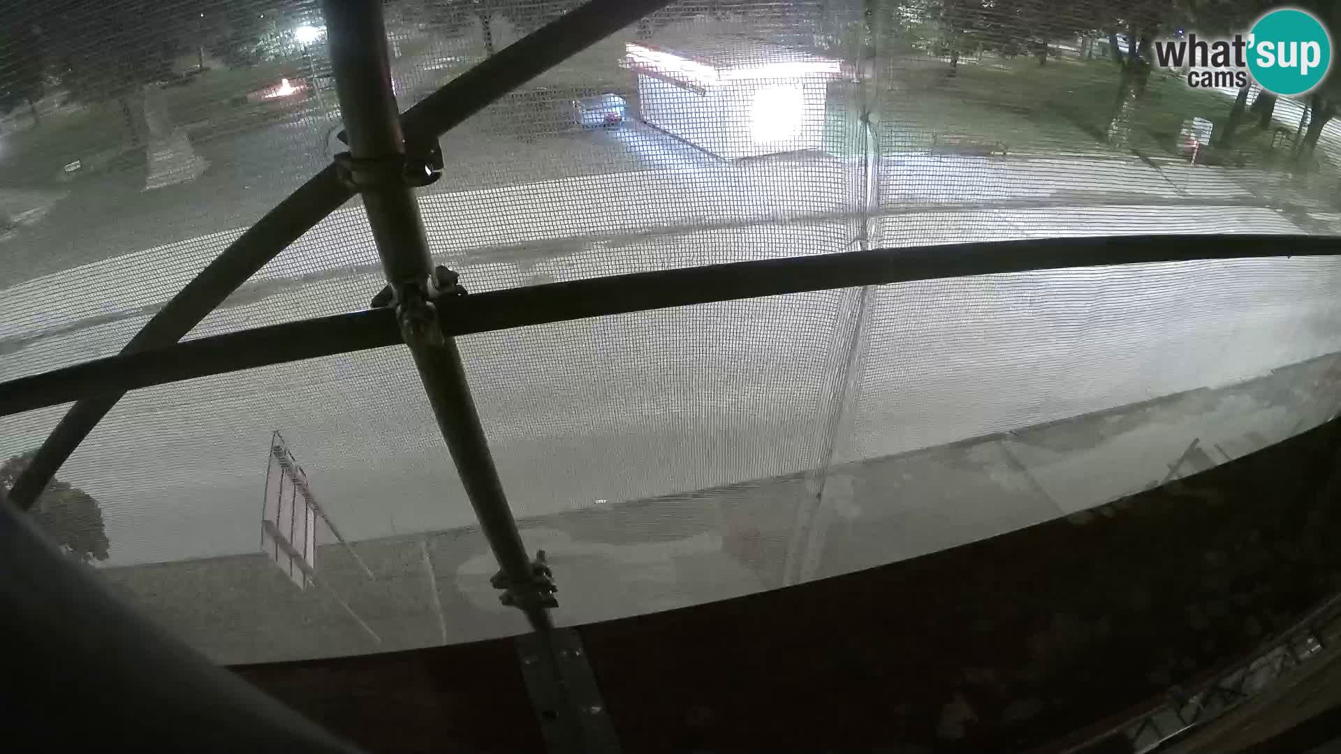 Ogulin camera en vivo