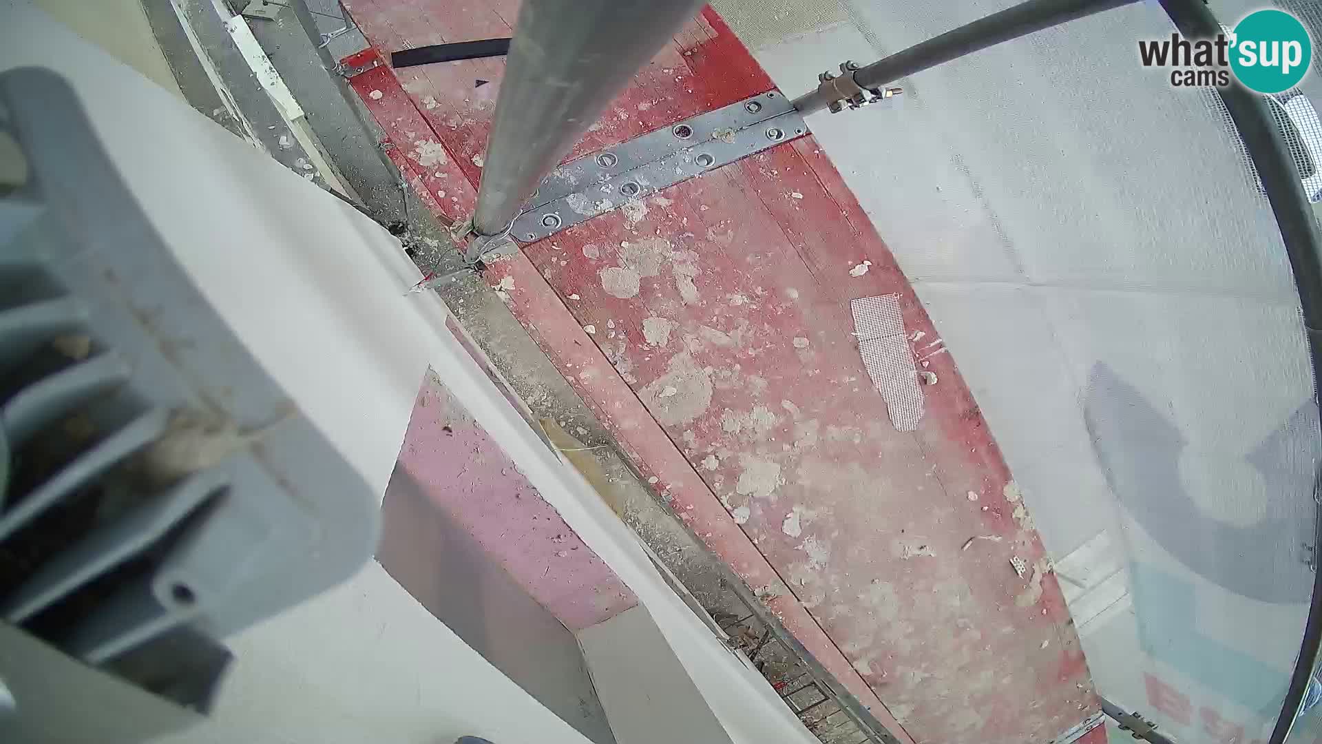 Ogulin camera en vivo