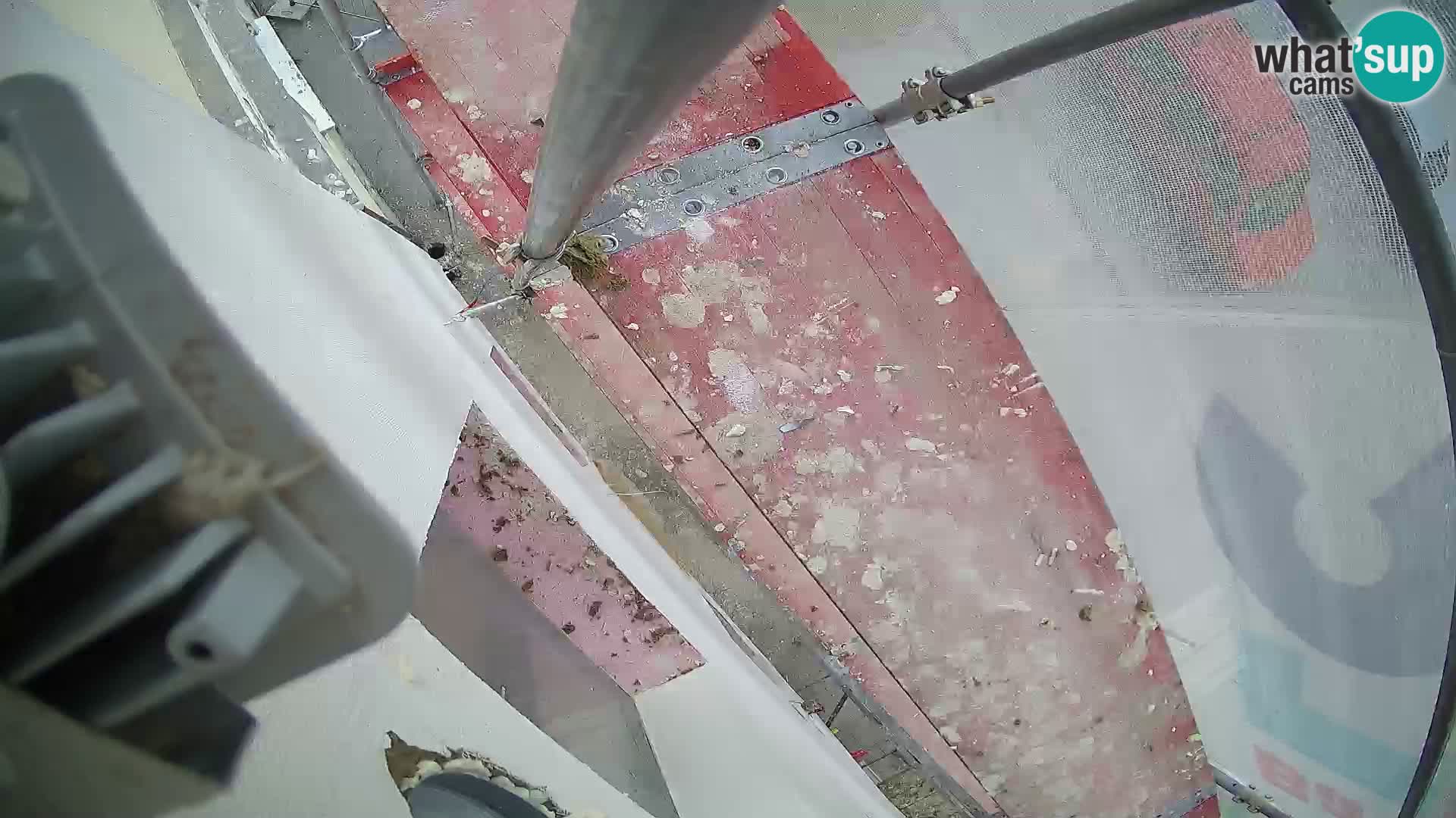 Ogulin camera en vivo