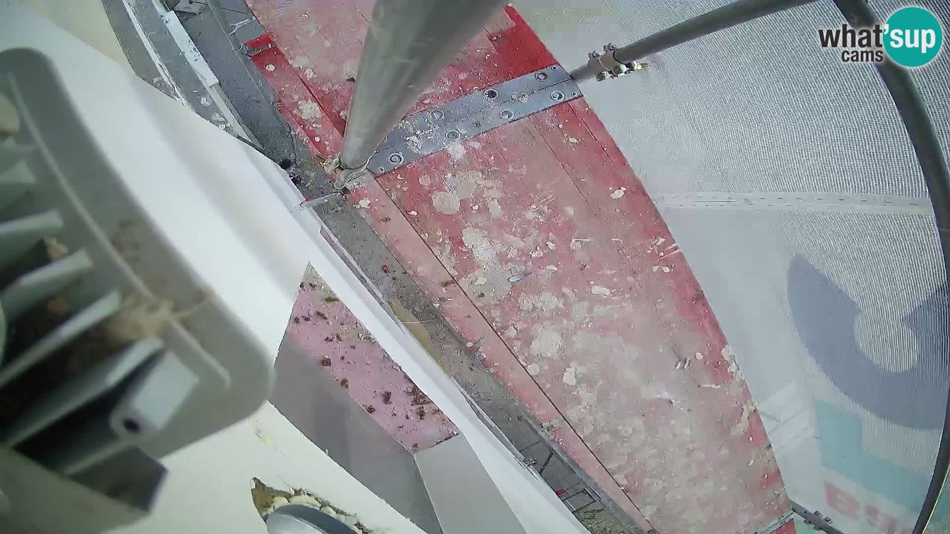 Ogulin camera en vivo