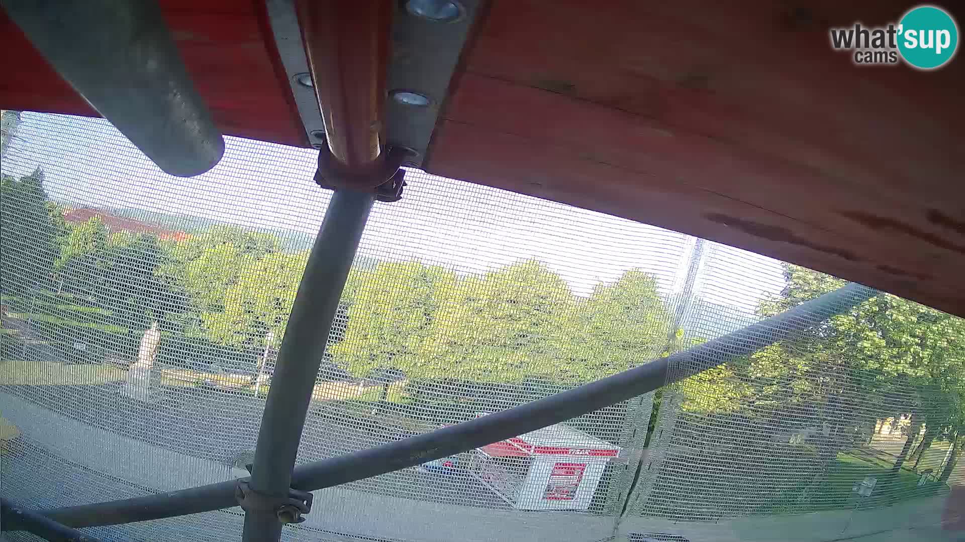 Ogulin camera en vivo